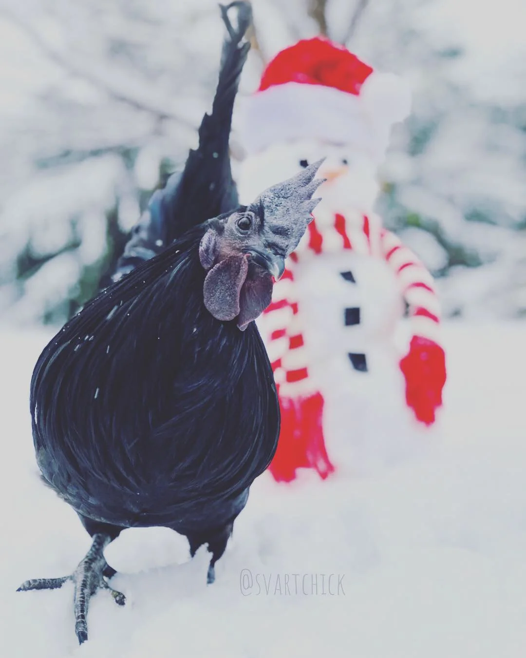 Do you want to build a Snowman...