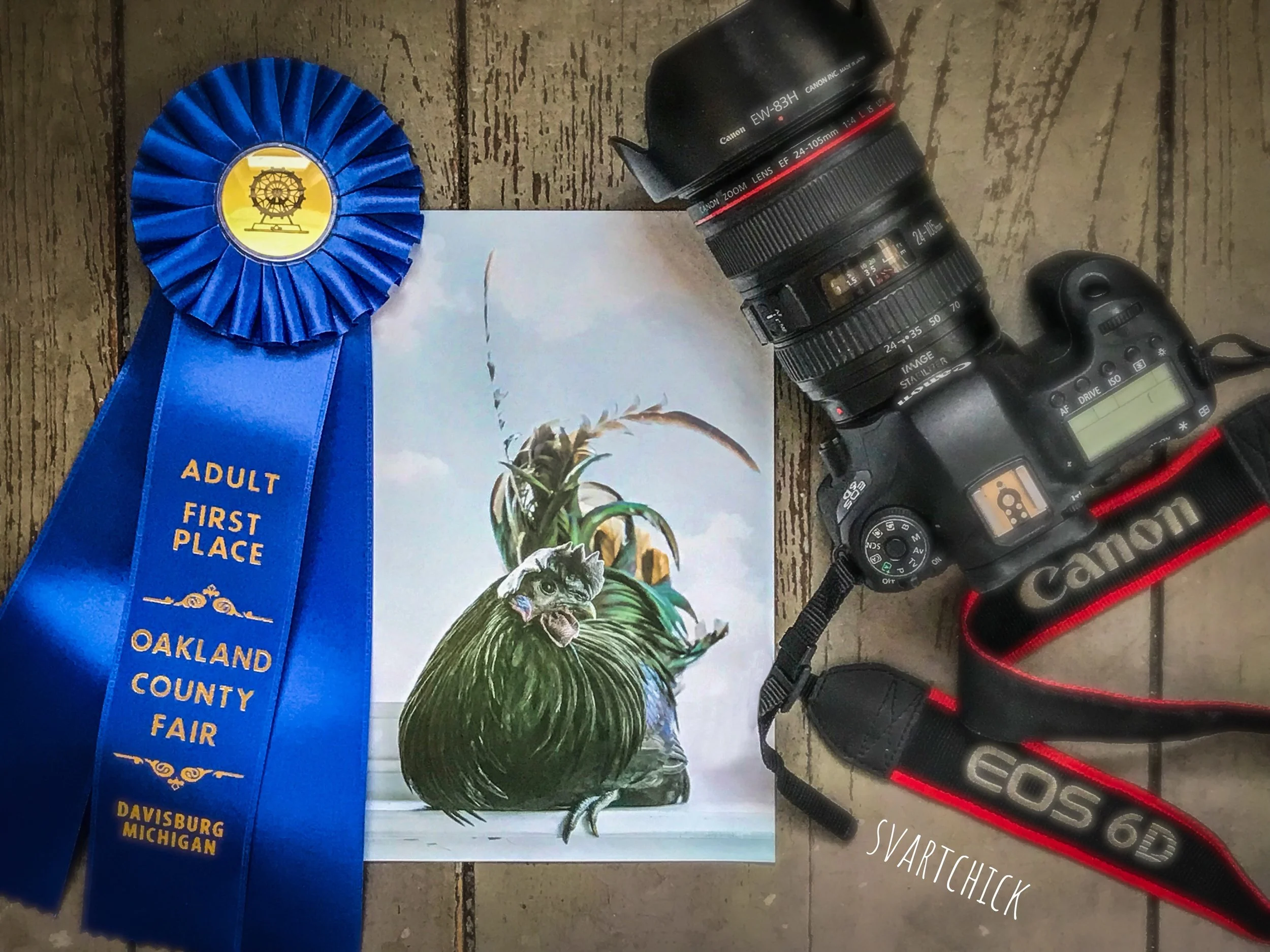 County Fair Fun 2019