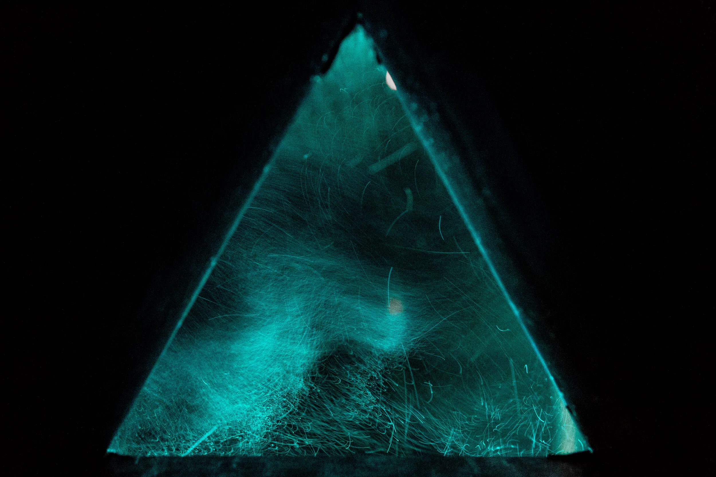 #4LAND SKAP cc  Lukas Morio.jpg