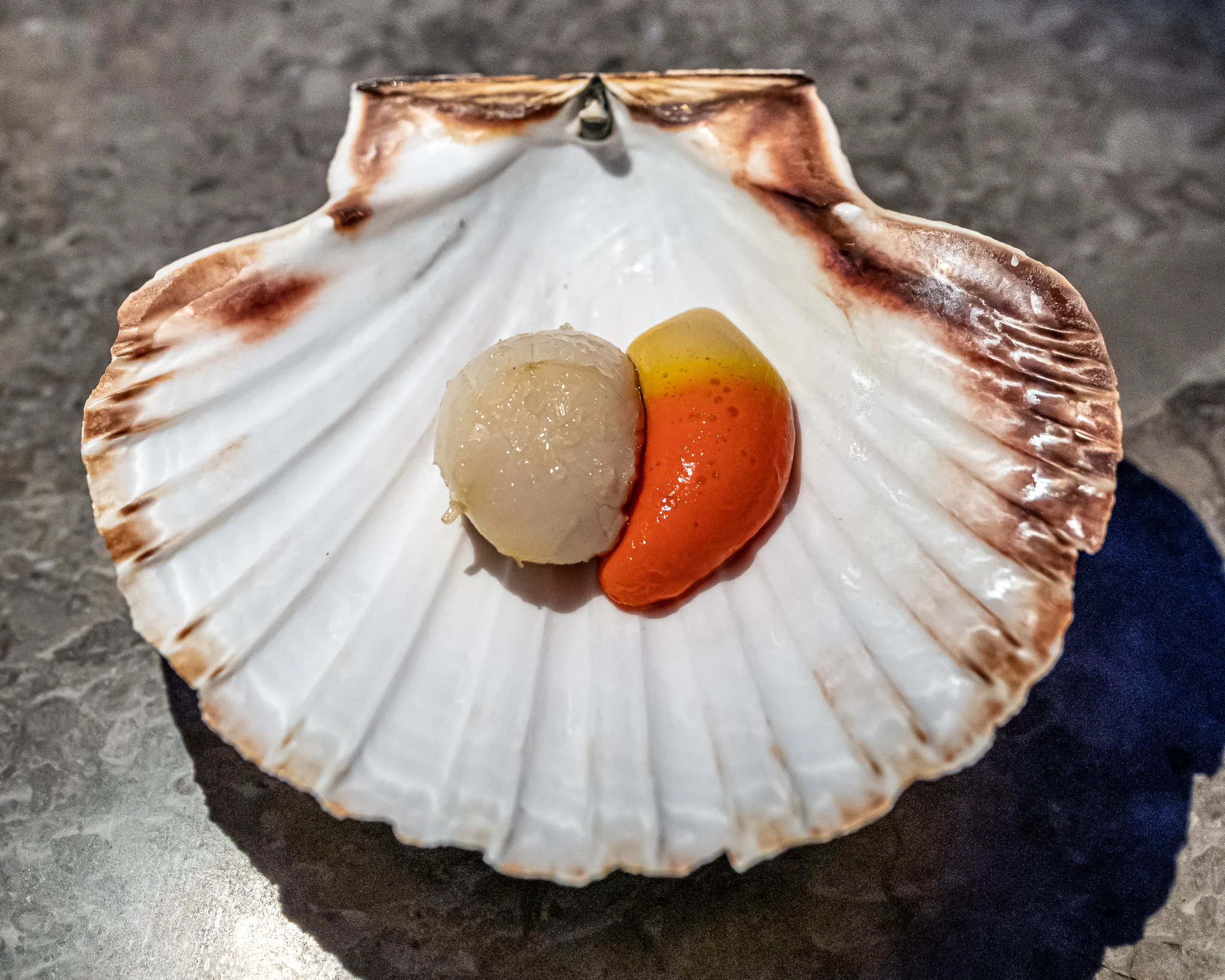 Raw Scallop