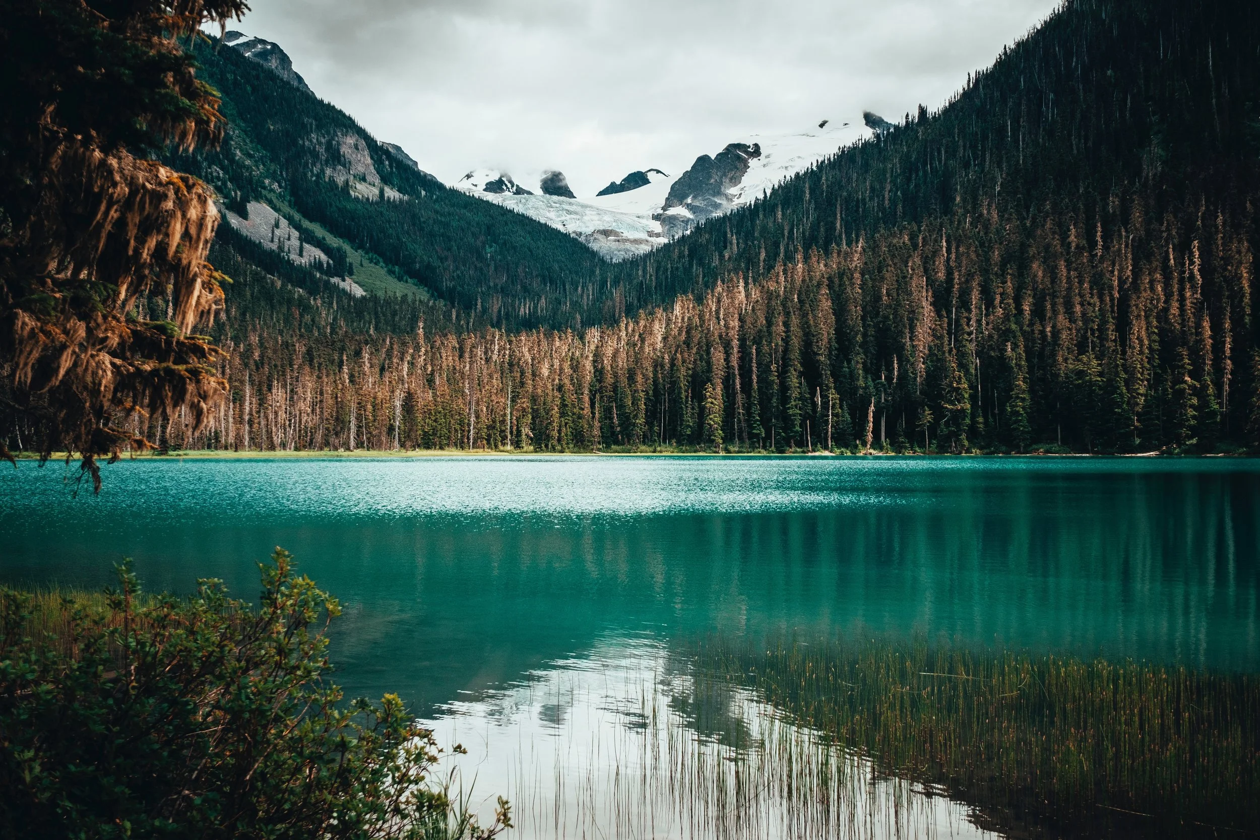 kym-ellis-748730-unsplash.jpg