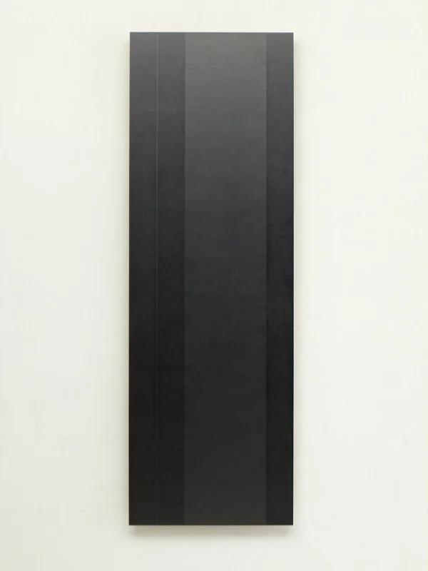 ICED HONEY, 2012, 180 X 60 CM, PENCIL ON MDF