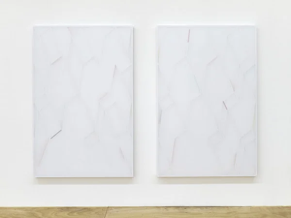 GILEAD, 2013, 193 X 290 X 5 CM (EACH PANEL 193 X 125 X 5CM)
KITE FABRIC, LACQUER, WOOD