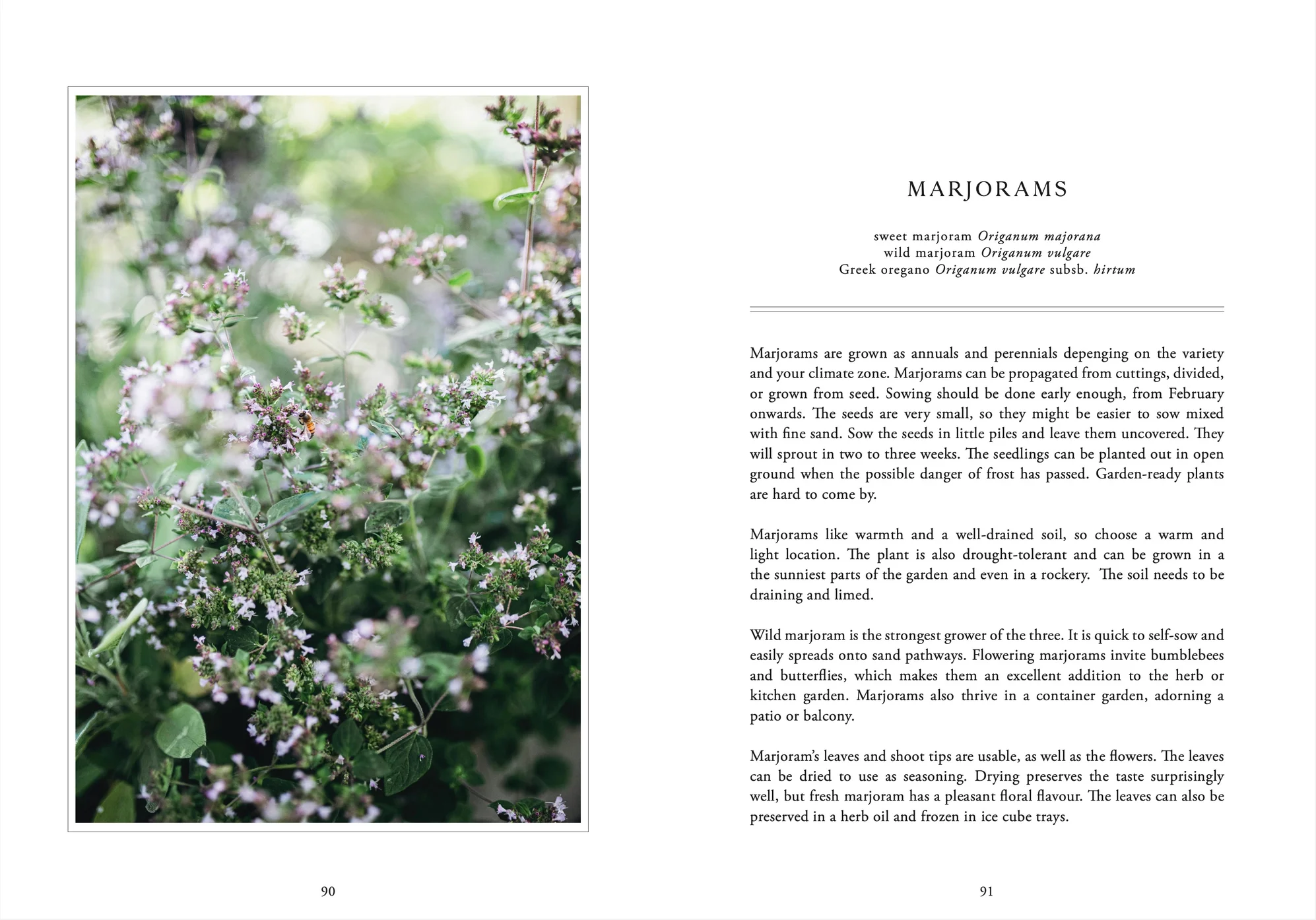 Living with herbs - English book - Atelie Trema4.jpeg.webp