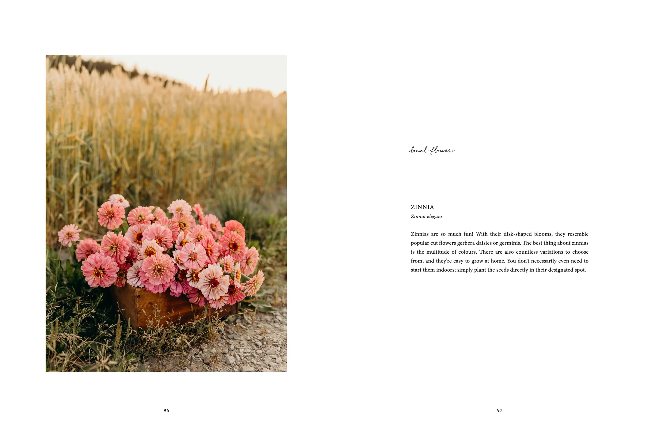Where Flowers Bloom - English book -Atelier Trema5.jpeg.webp