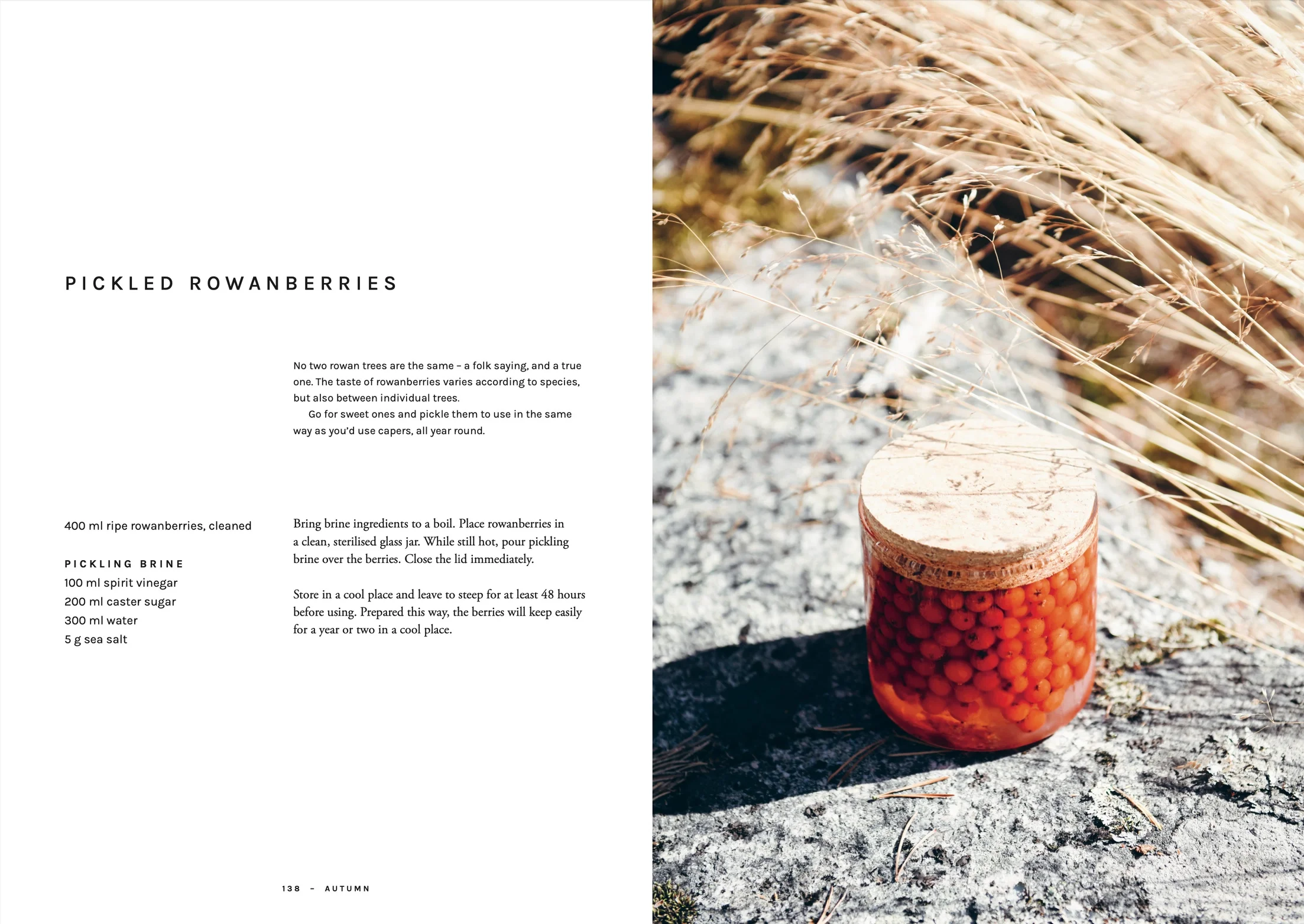 Chef's wild nordic3.jpeg.webp