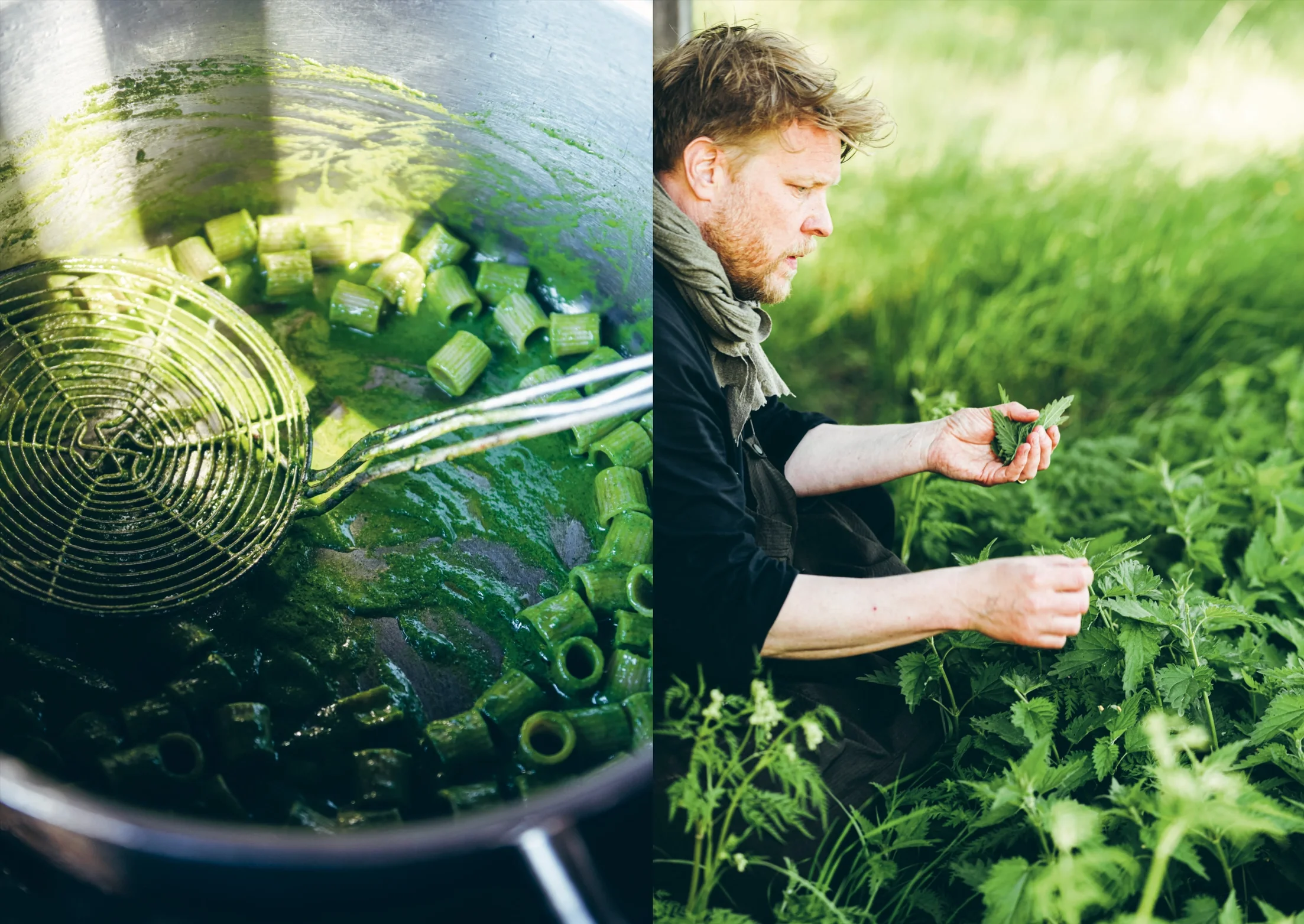 Chef's wild nordic6.jpeg.webp