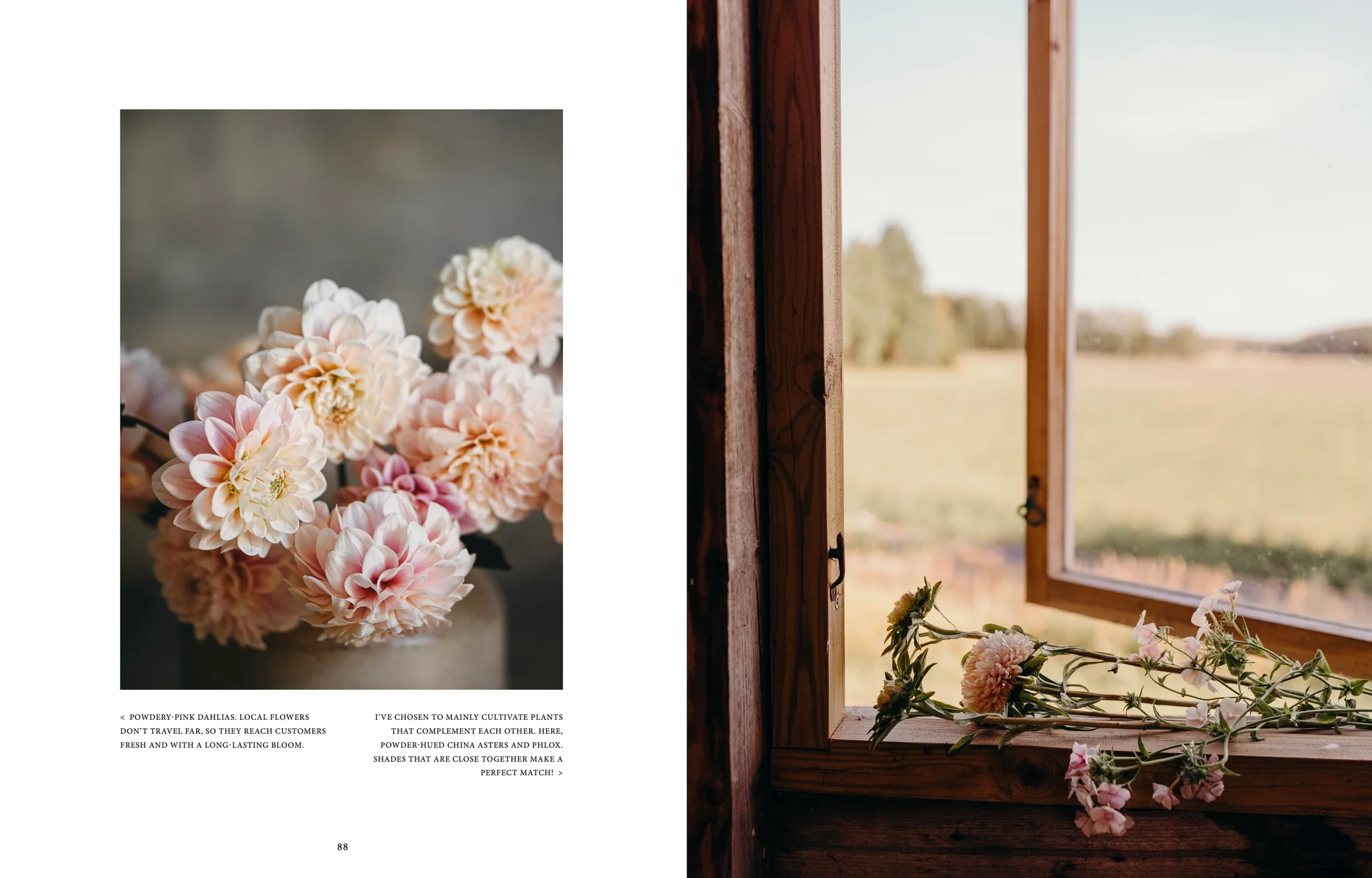 Where Flowers Bloom - English book -Atelier Trema4.jpeg.webp
