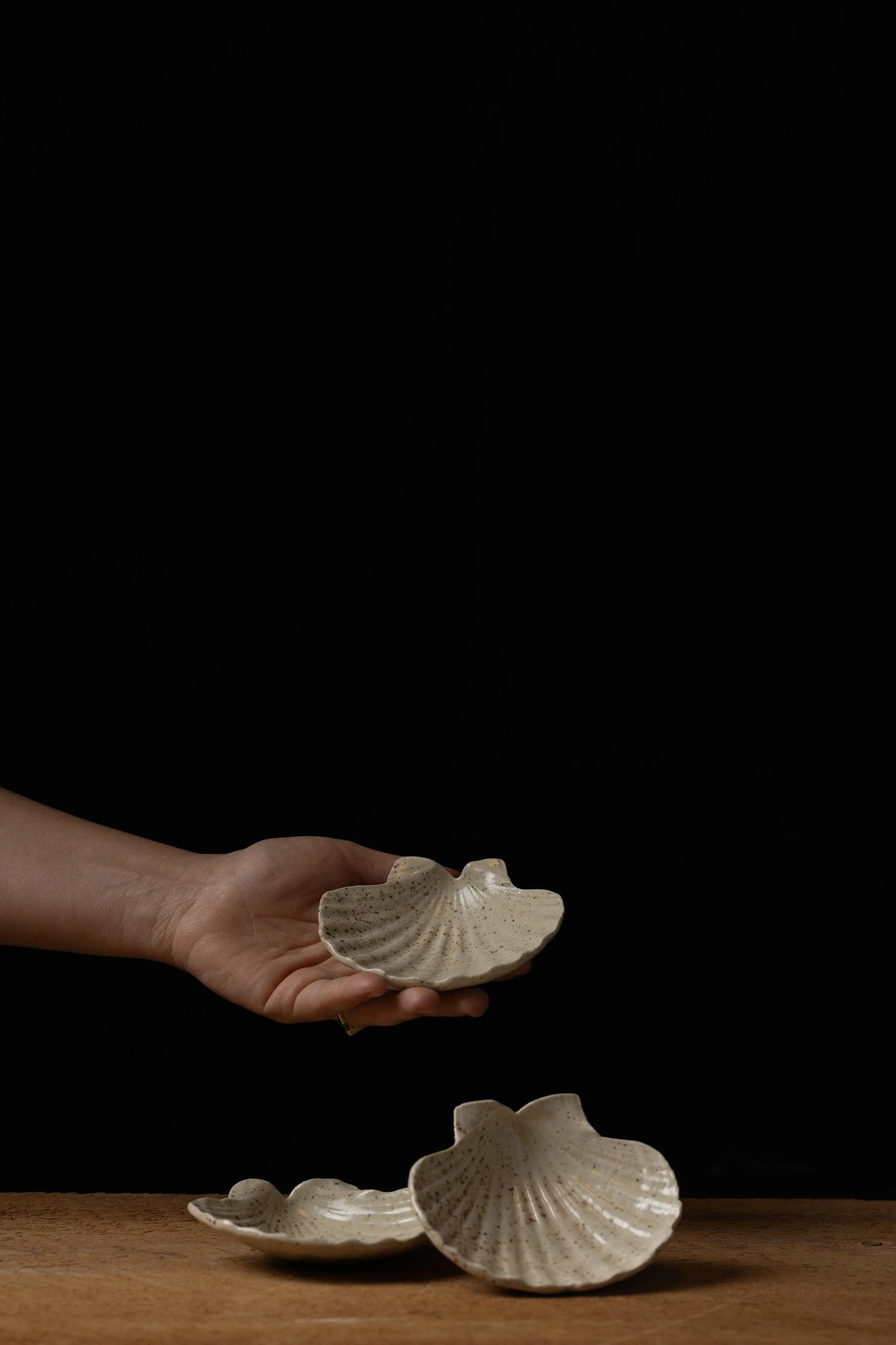 Coquillage - Collection Caille - Atelier Tréma4.jpg