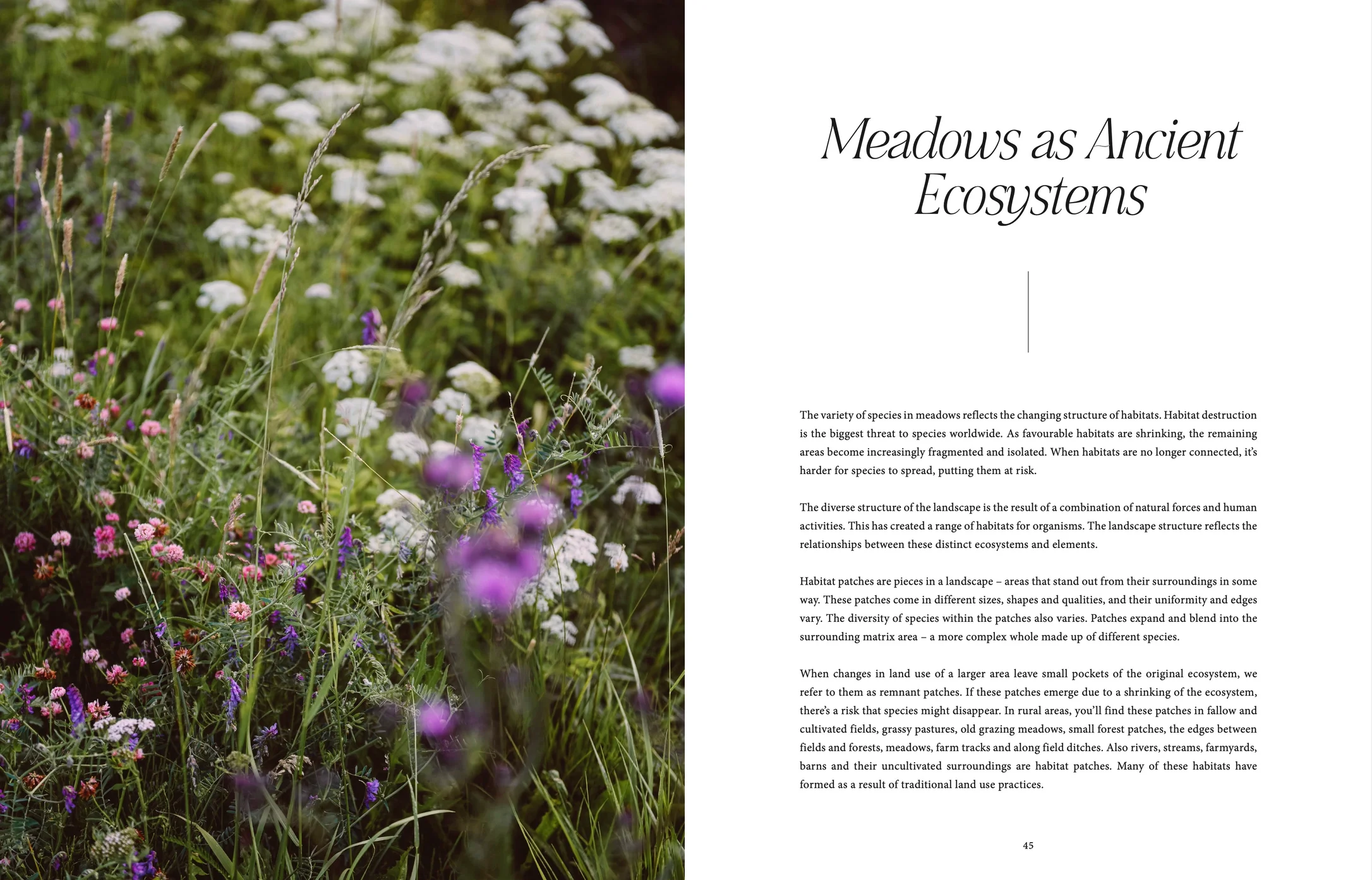 Where Flowers Bloom - English book -Atelier Trema2.jpeg.webp