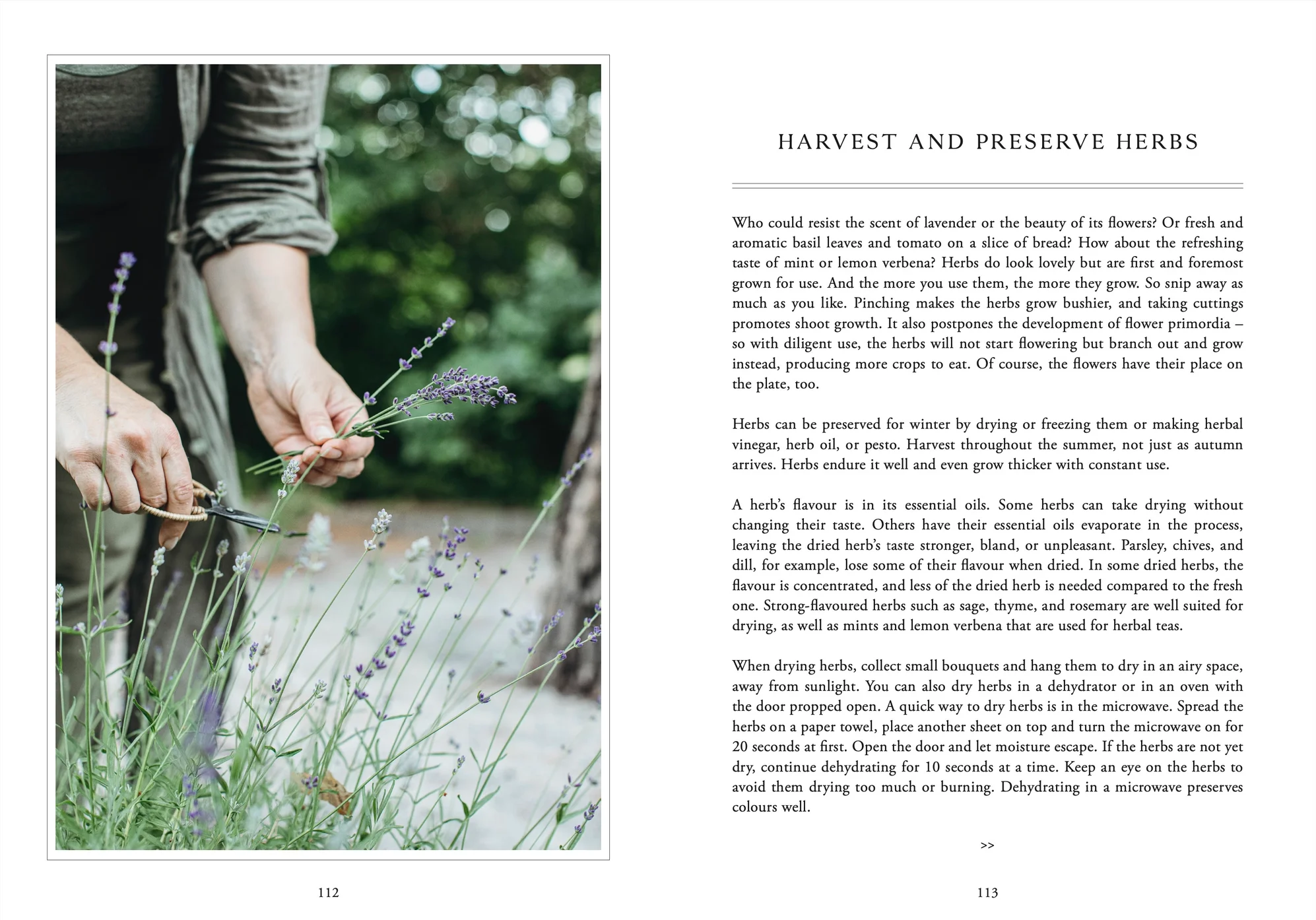 Living with herbs - English book - Atelie Trema2.jpeg.webp