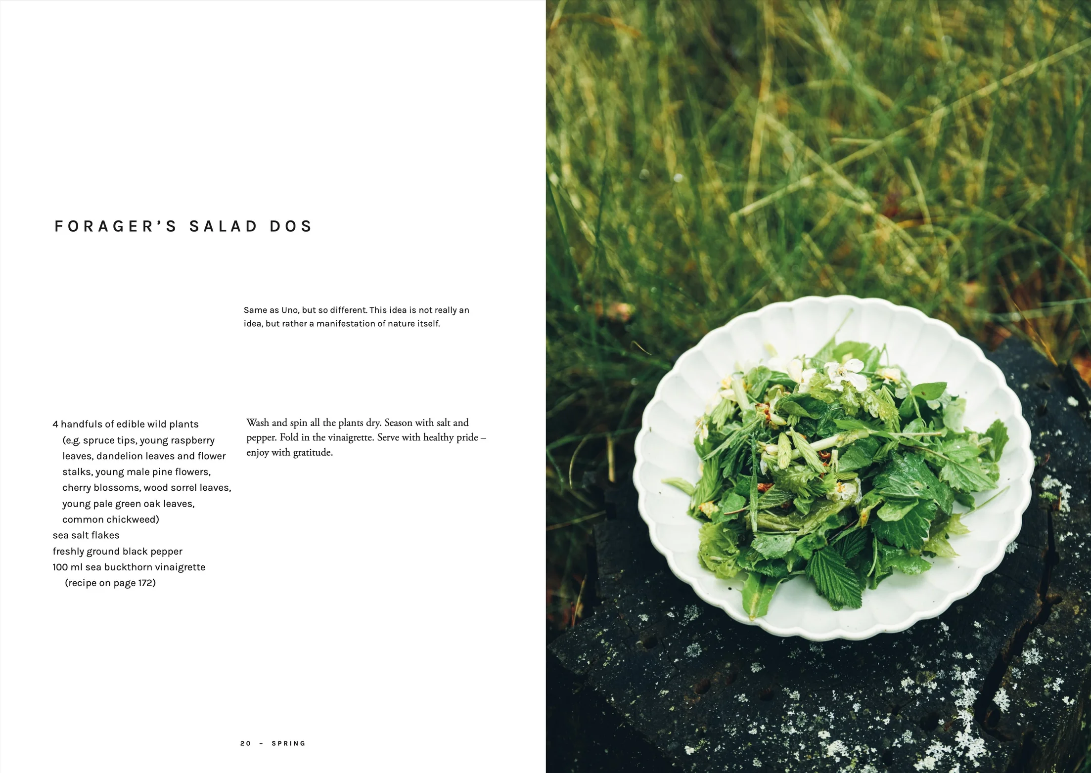 Chef's wild nordic8.jpeg.webp
