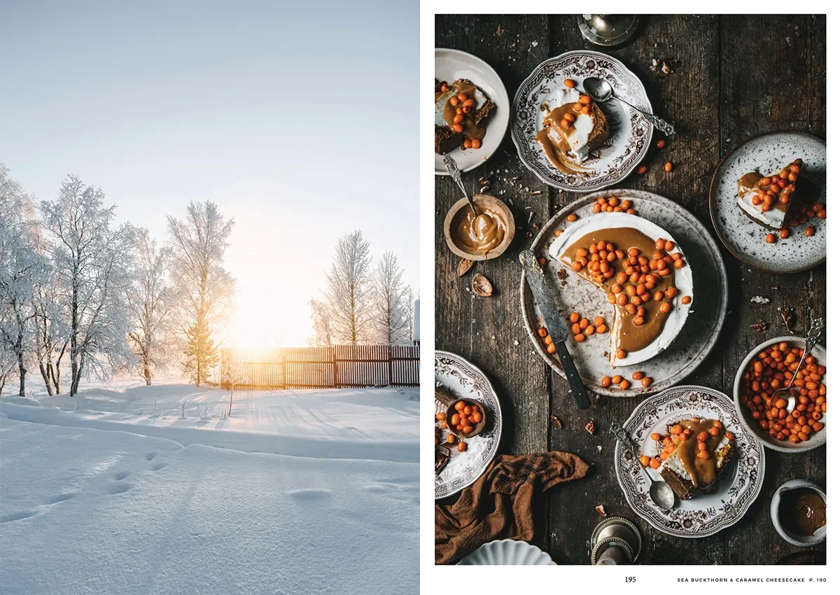 Nordicwinter.5.webp