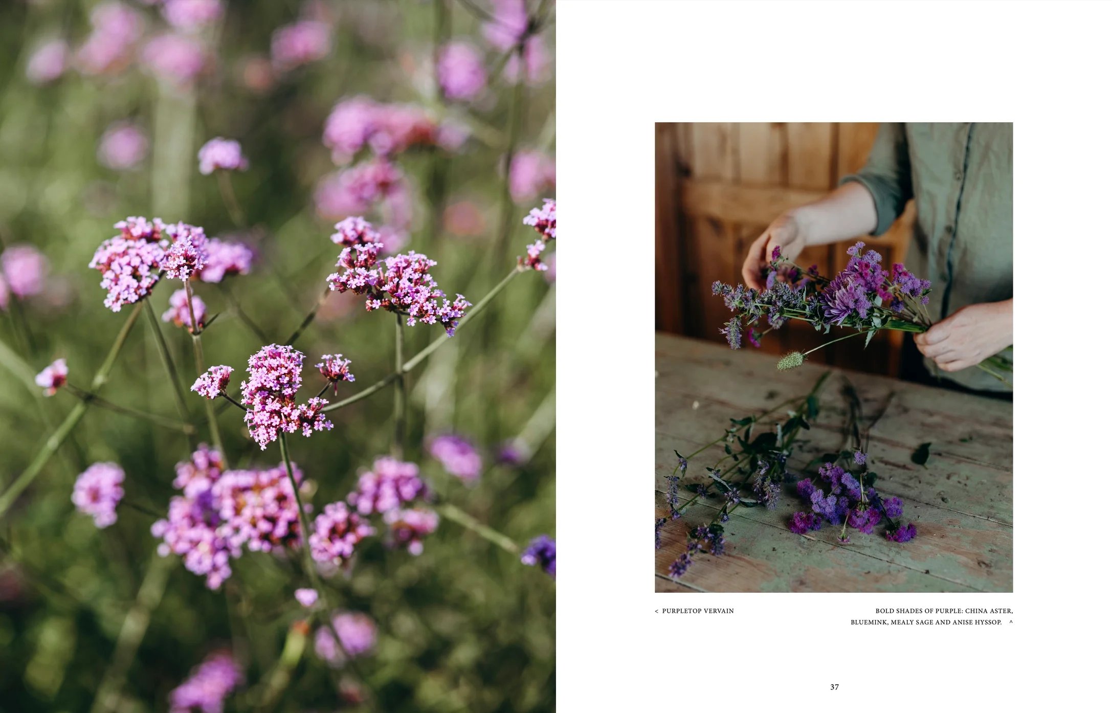 Where Flowers Bloom - English book -Atelier Trema3.jpeg.webp