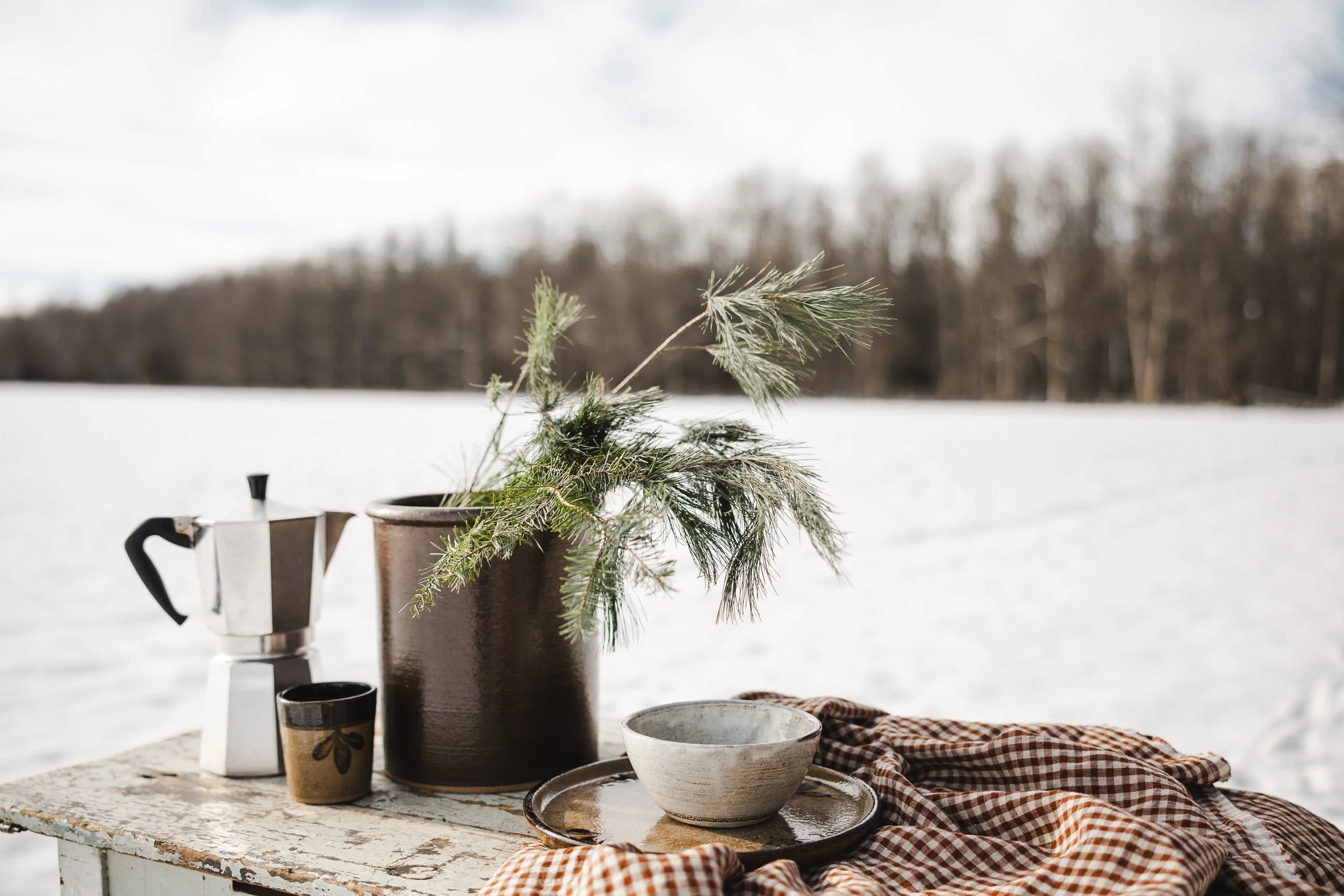 Saint-Armand - Hiver au Marais1.jpg