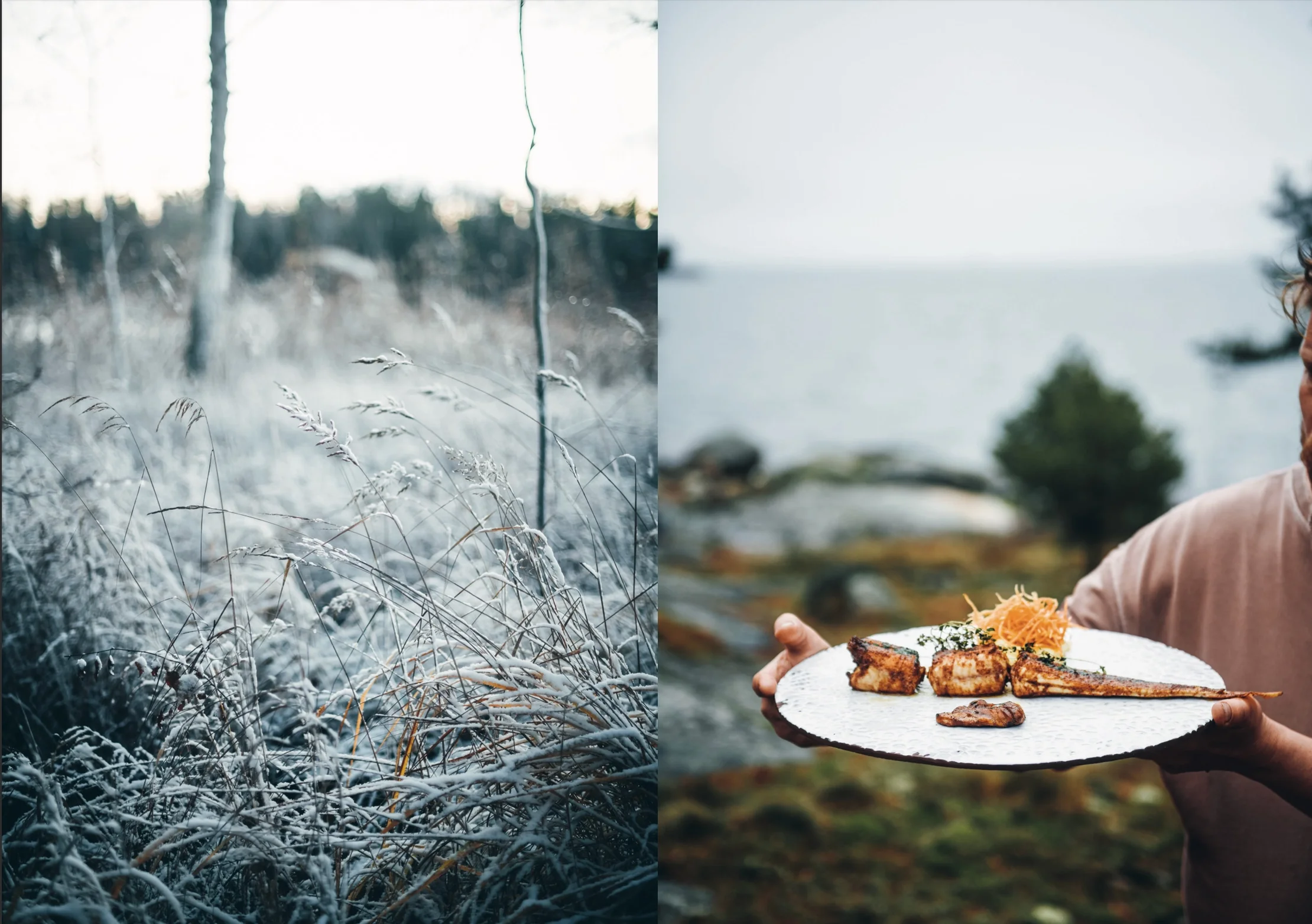 Chef's wild nordic1.jpeg.webp