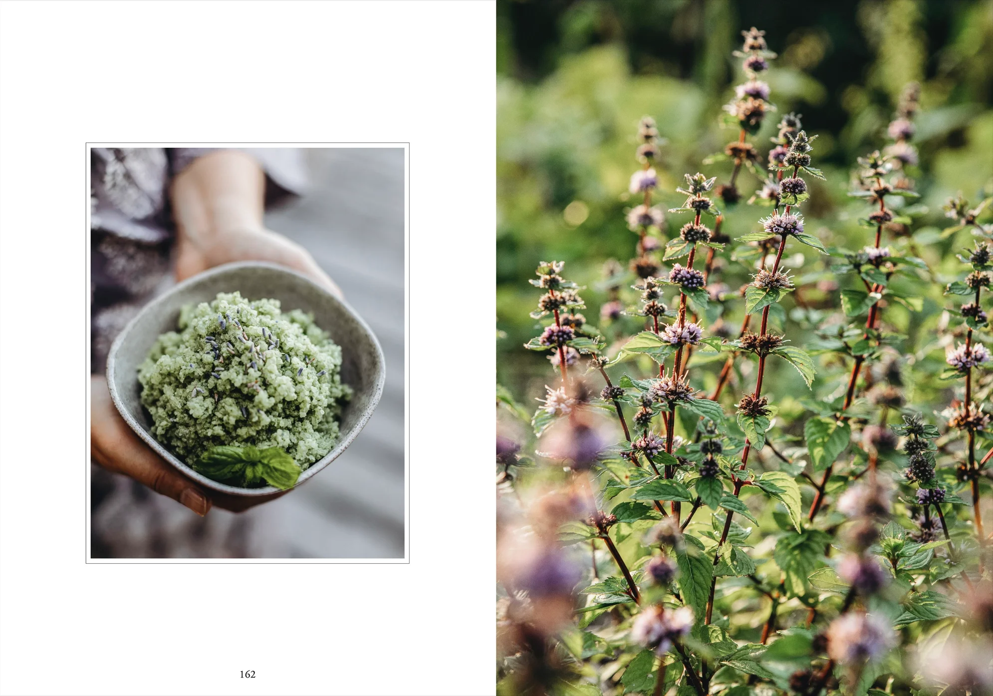 Living with herbs - English book - Atelie Trema3.jpeg.webp