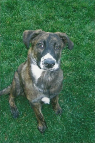 COOPER