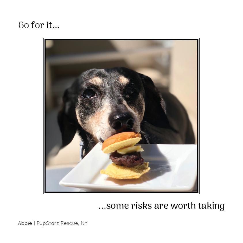 PNR_Insta35.png