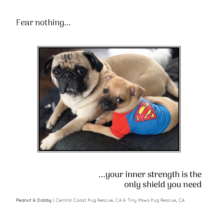 PNR_Insta30.png