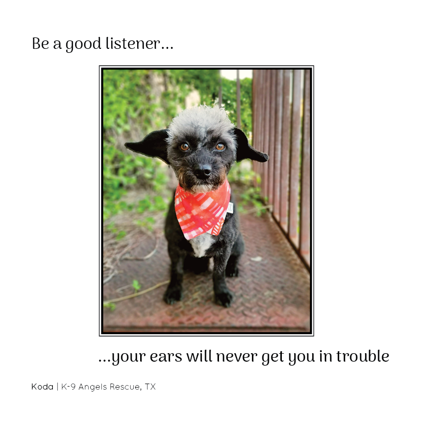 PNR_Insta22.png