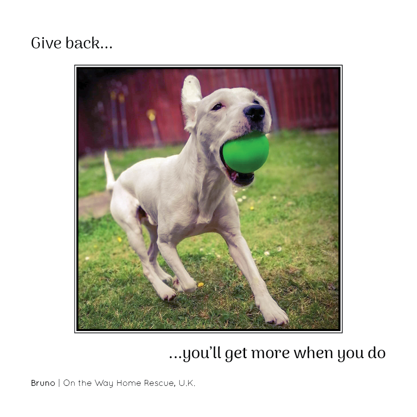 PNR_Insta12.png