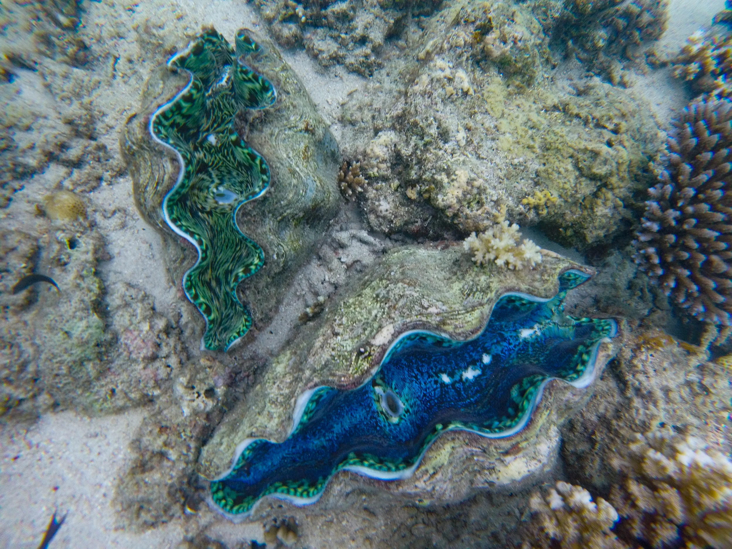 GOPR0146.jpg