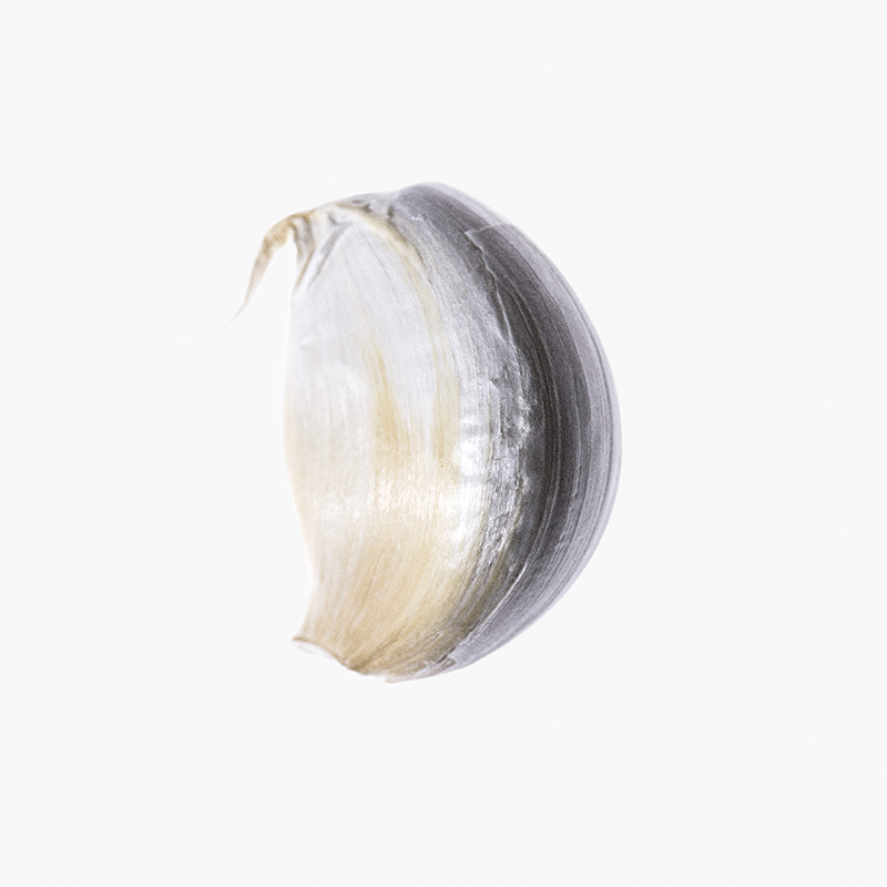 _V5A4436-1Square.jpg