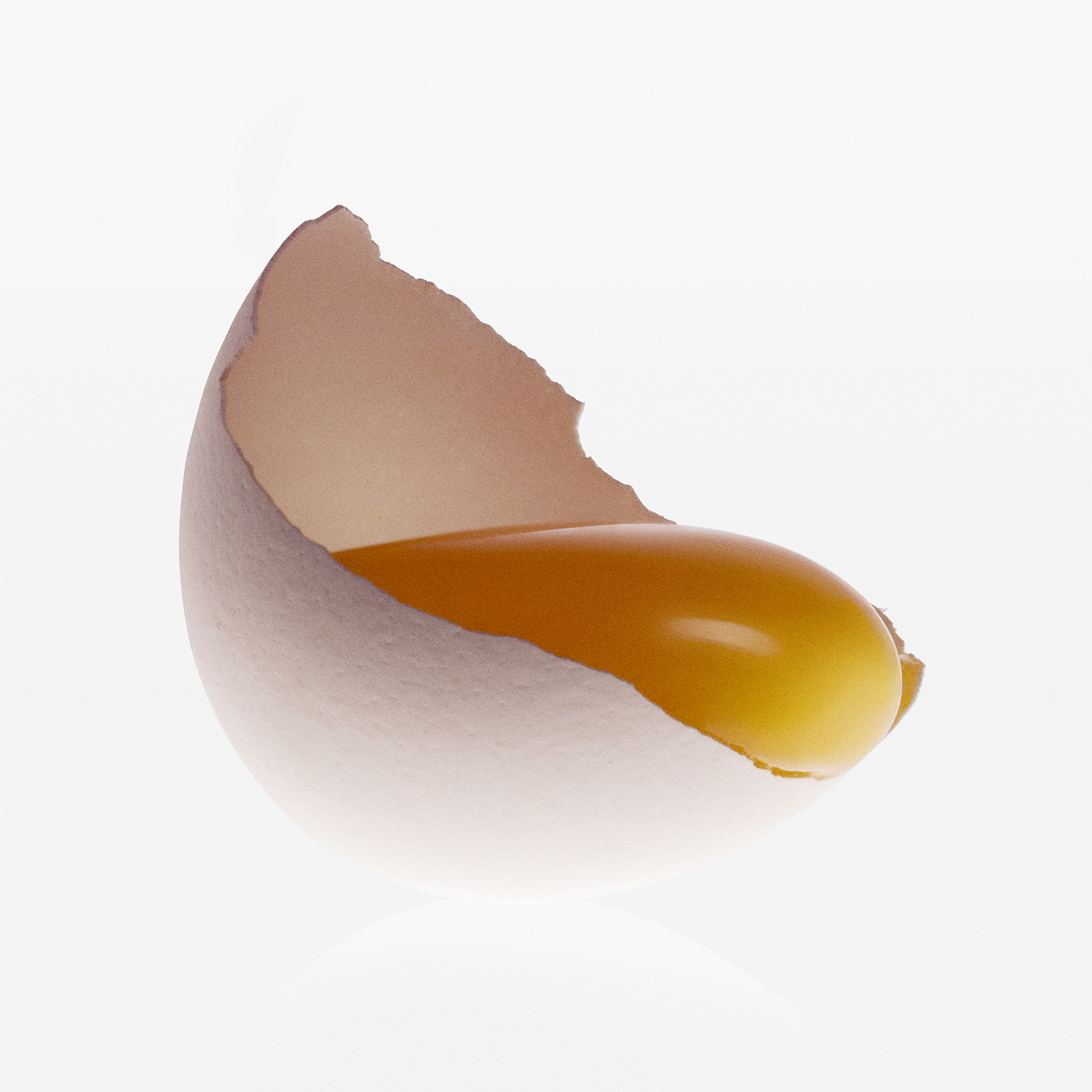 egg_v3_1500.jpg