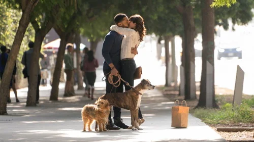 DogDays2018.jpg