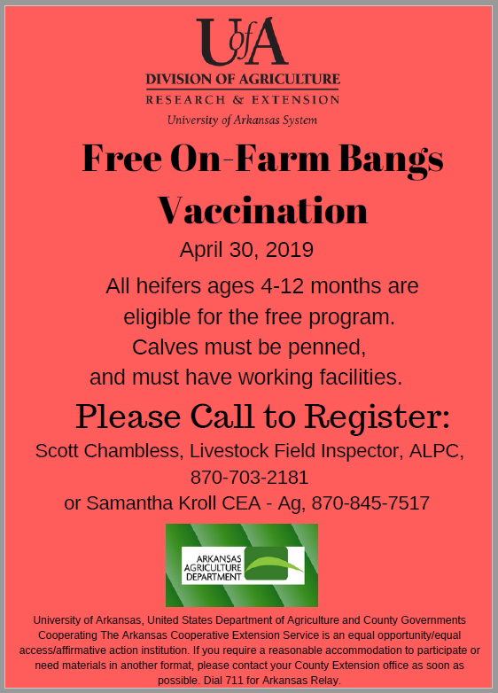 Bangs Vaccination