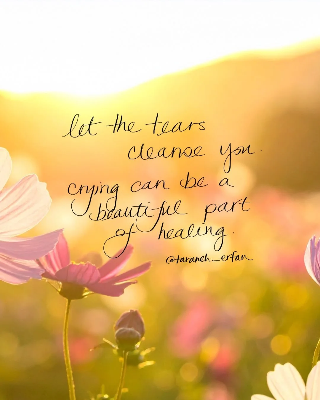 Trying this new thing to free myself from the &ldquo;content creation slump&rdquo;. Little reminders. From my heart (and hands) to you ✨💫💜 Let me know if you like it and it resonates so I can do them once a week. Please like and share or comment fo