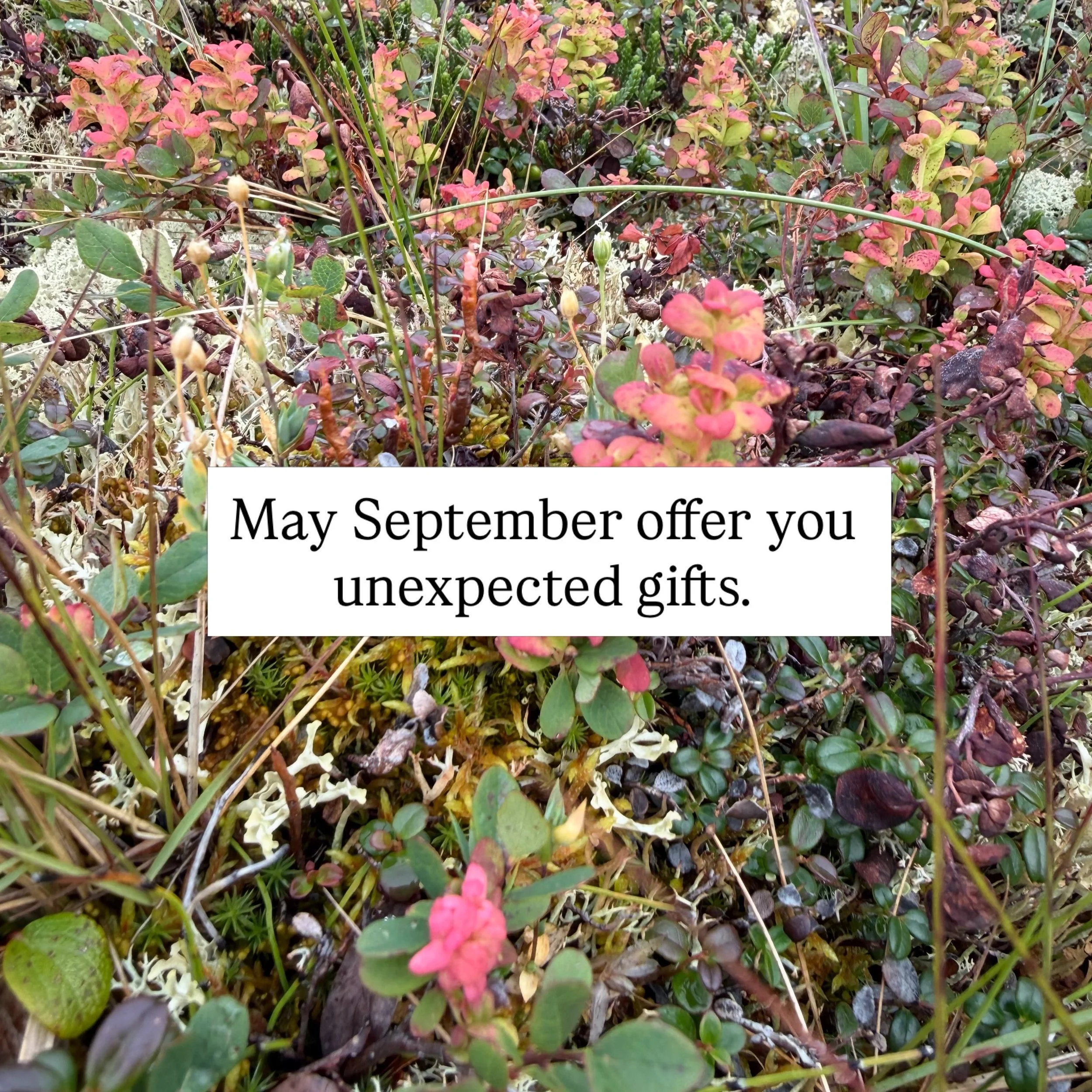 September blessings, inspired by the Yukon alpine ⛰️

#blessings #mindonspirit #healing #mindset #september