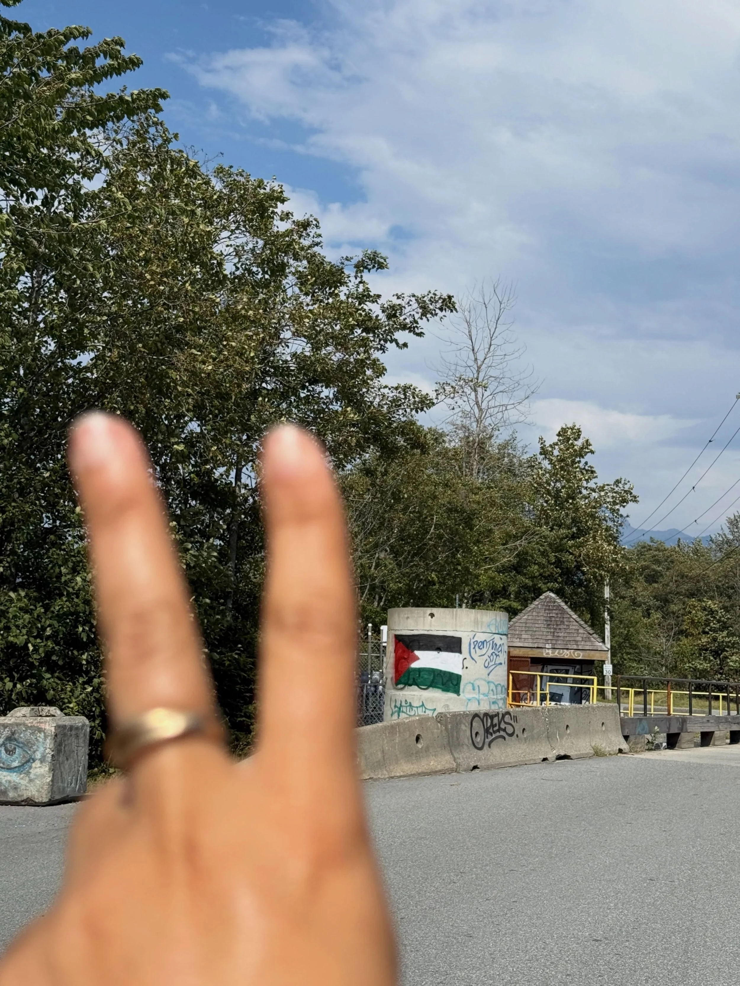 Spotted as I was driving by. Solidarity gives a soul fresh breath to breathe. 🕊️✌🏼🍉 ps. If you&rsquo;ve never listened to the lyrics of this song, do yourself a favour today and listen/read.