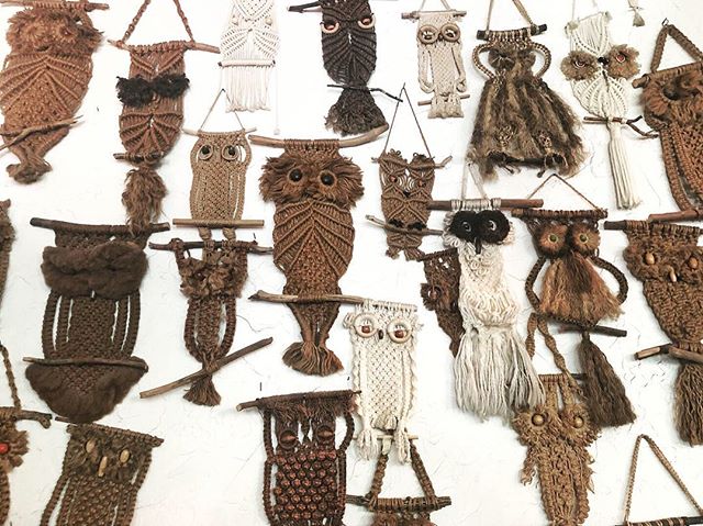 One 🦉 wall hanging, meh. A full wall though - major funky impact! #aloandhaneSTYLESPOTTING
