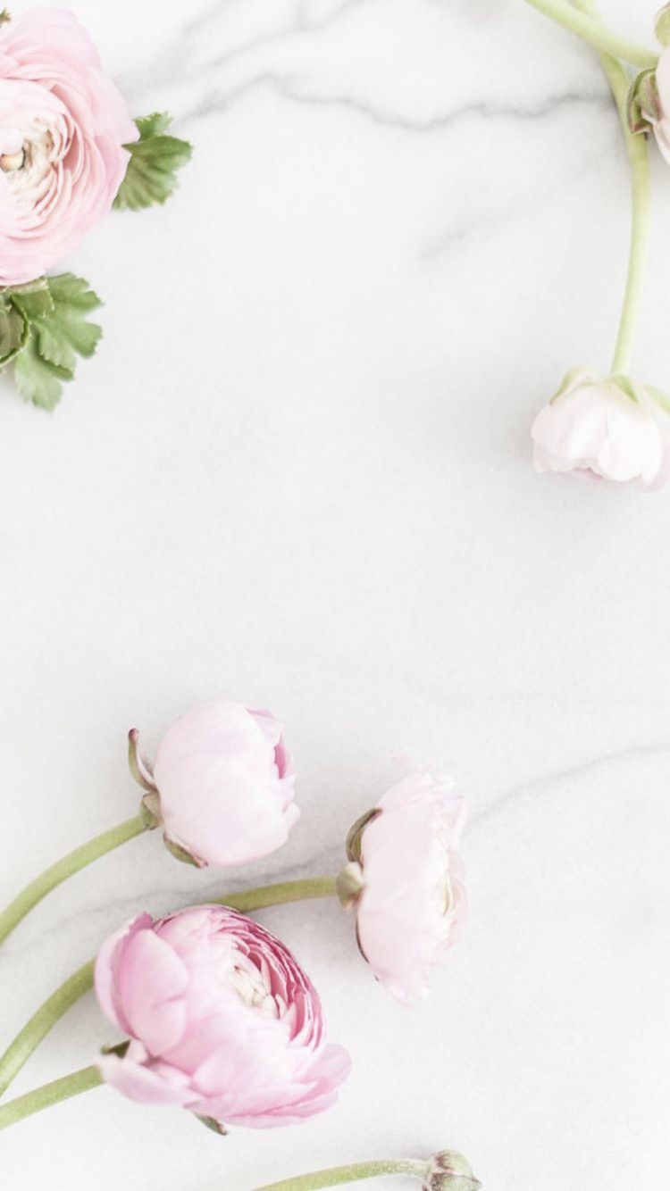 Today's Bride 2020 Akron Bridal Show