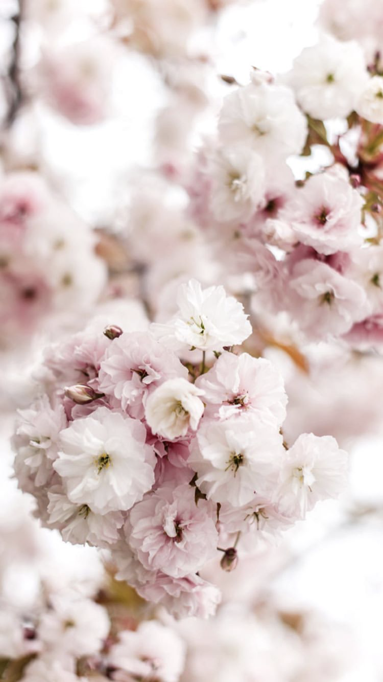 Mothers day &amp; Sisters Graduation