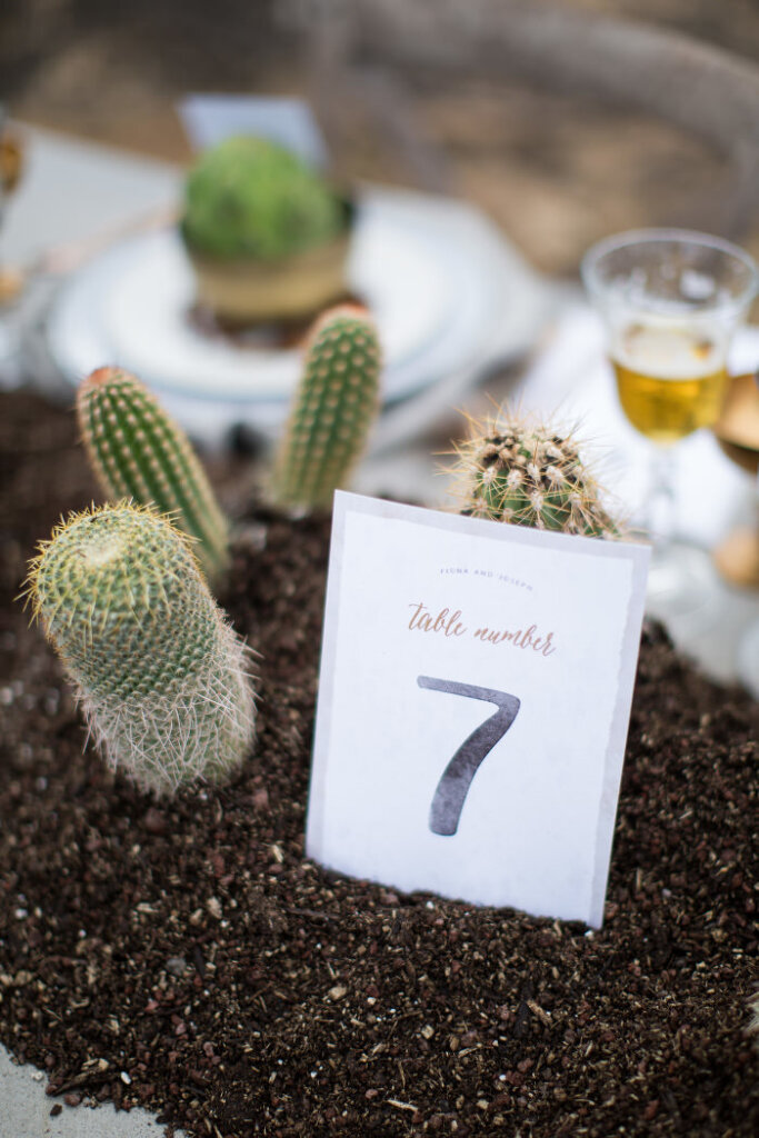 Cactus Theme Wedding Table Numbers