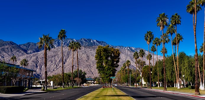 palm-springs-1587288__340.jpg