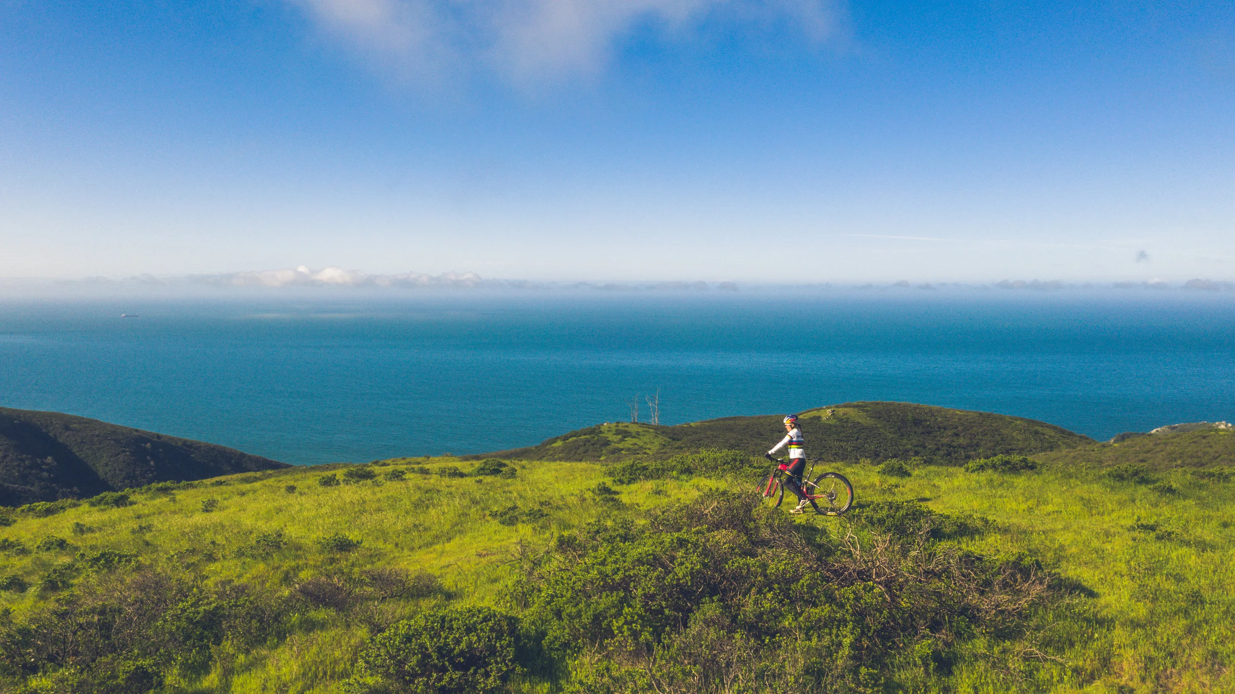 SCOTT-SRAM_2019_SeaOtter_DJI_08052.jpg