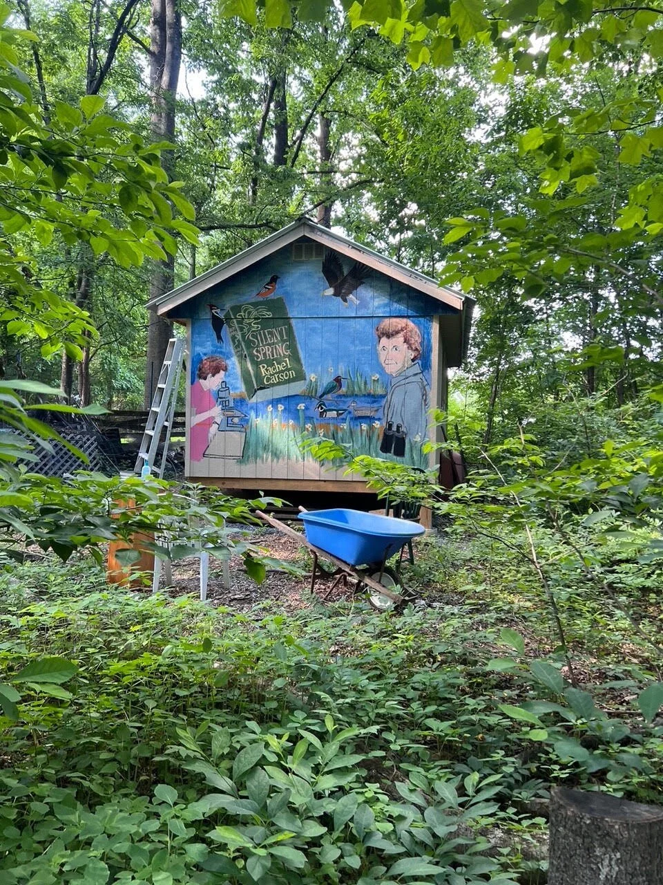 shed painting.jpg