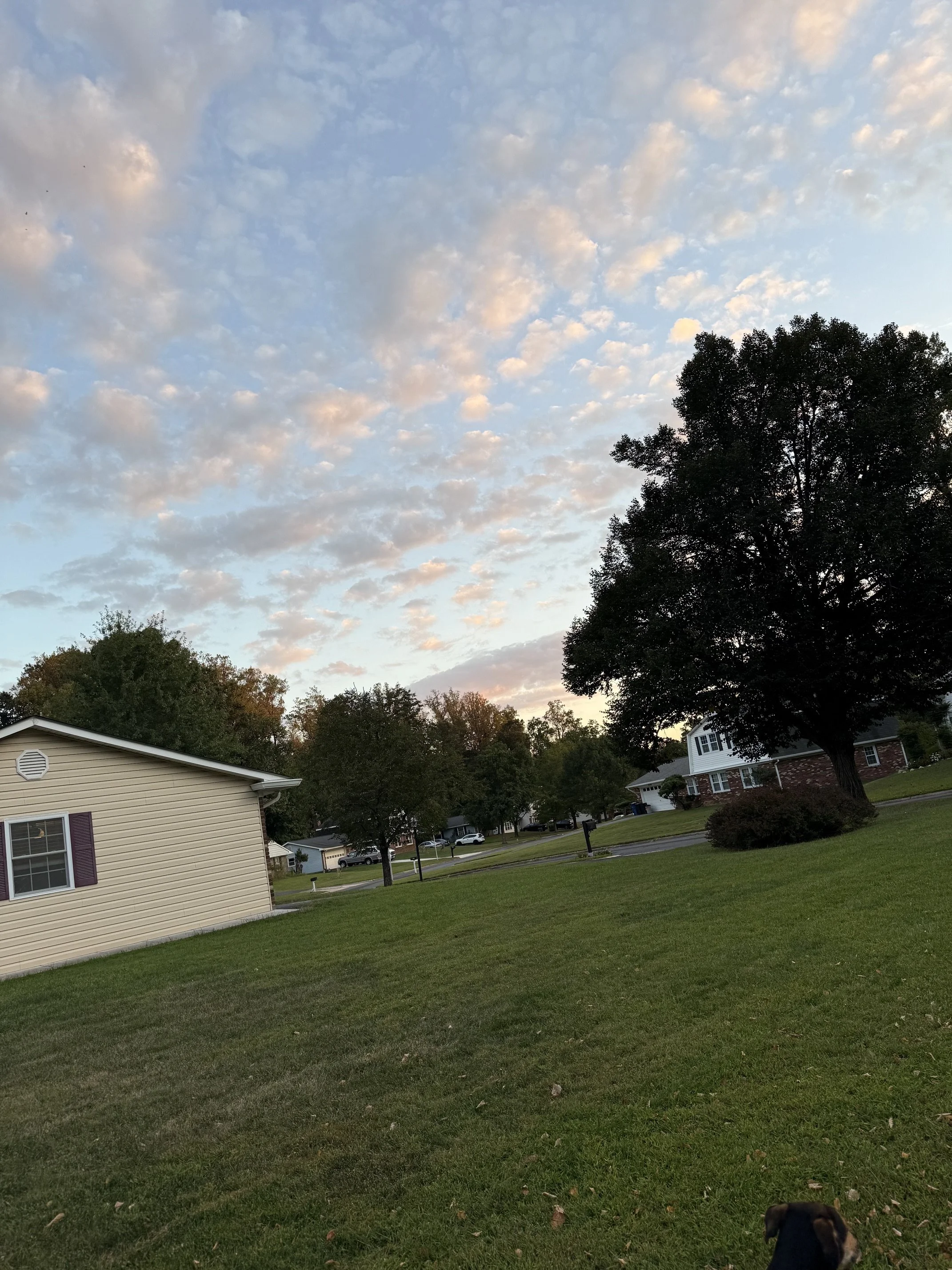 IMG_4355.jpeg