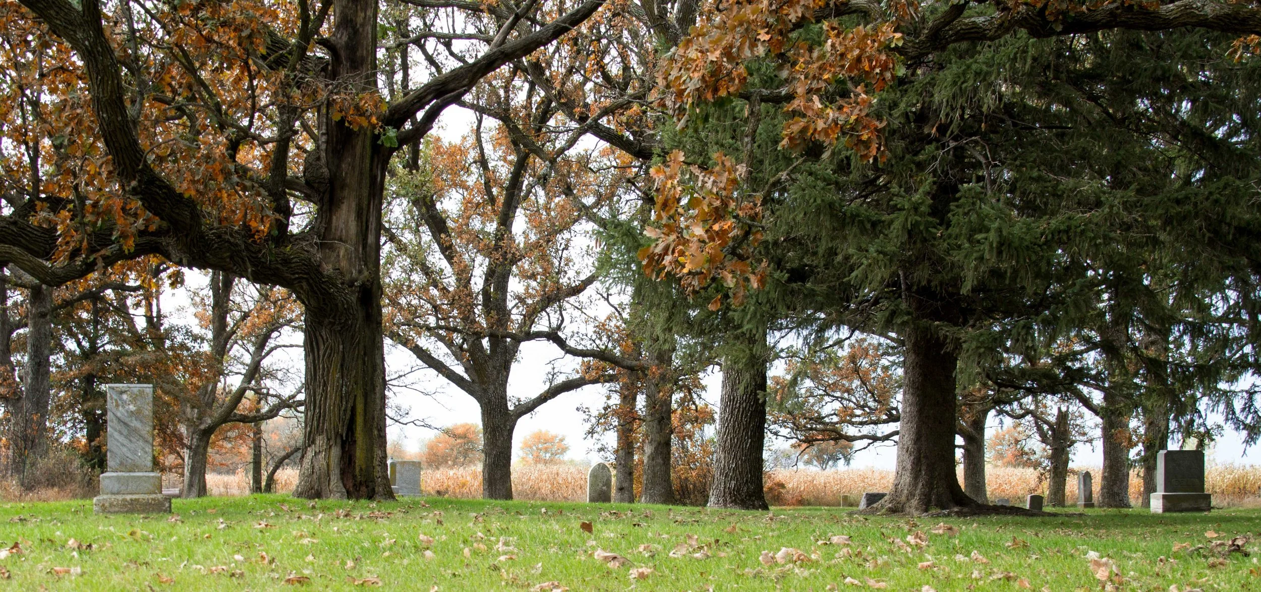 ulster_cemetery2.jpg