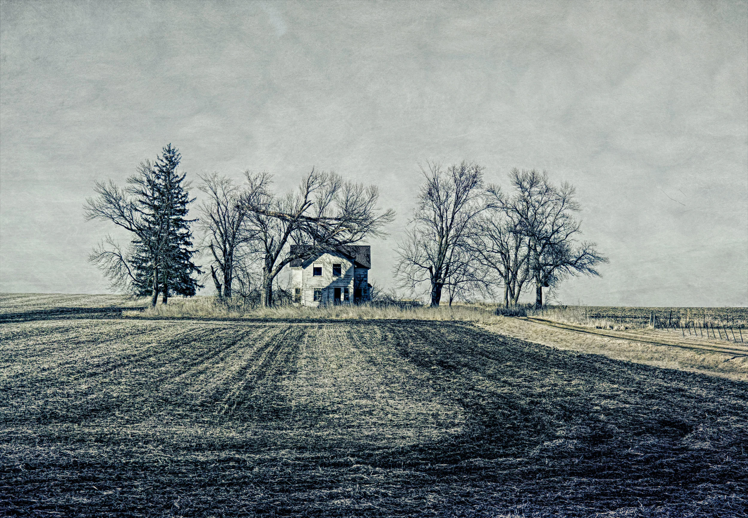 _MG_4373.jpg