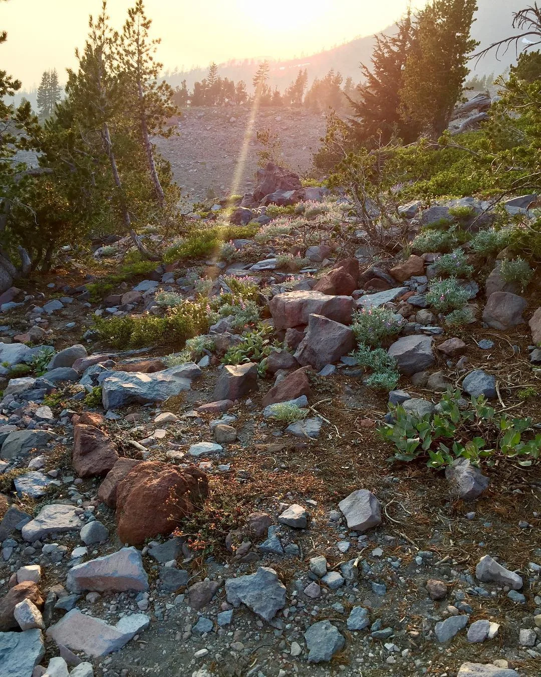 Mount Shasta Vortex Tours