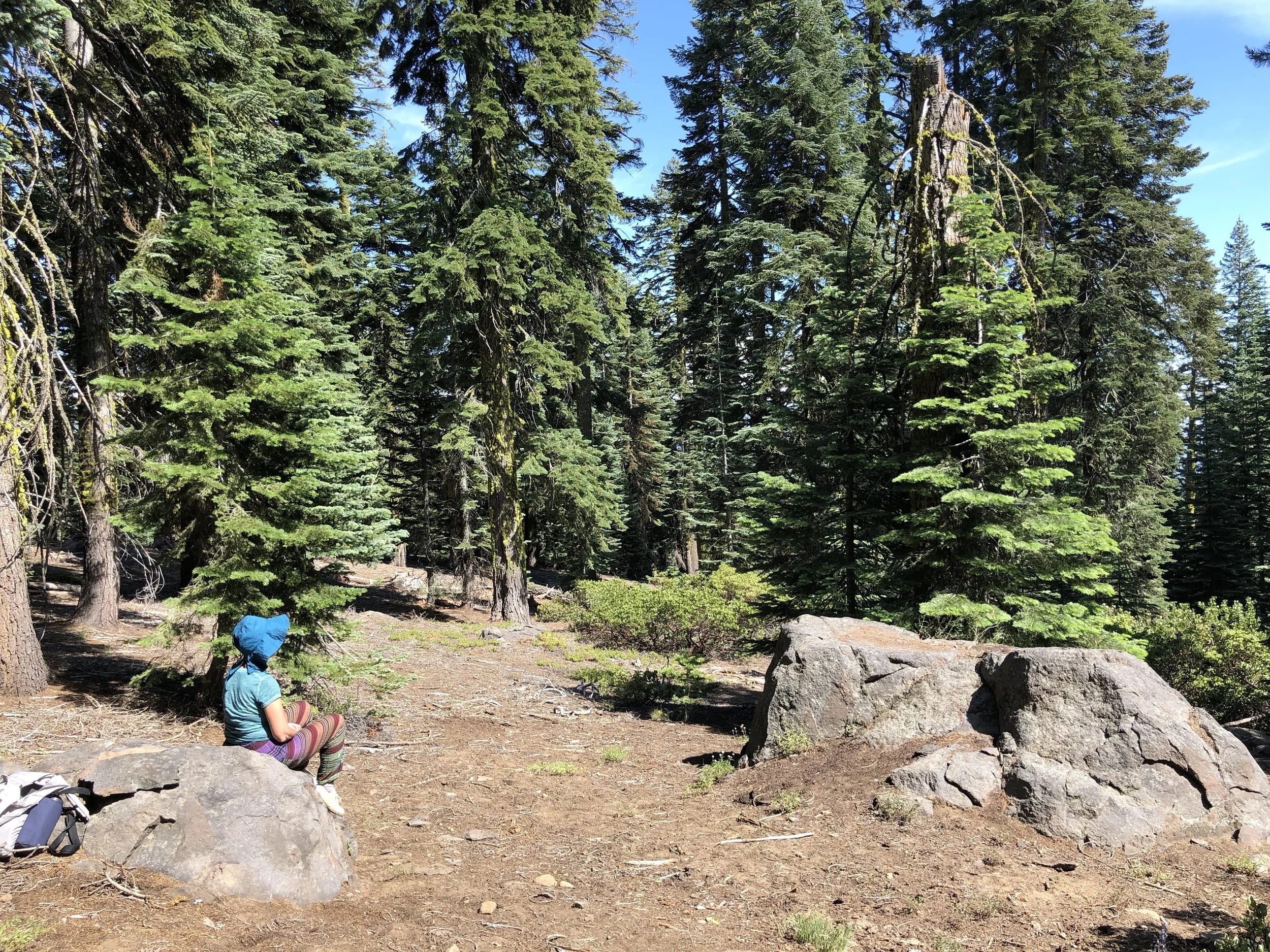 Beautiful Communication with Star Family