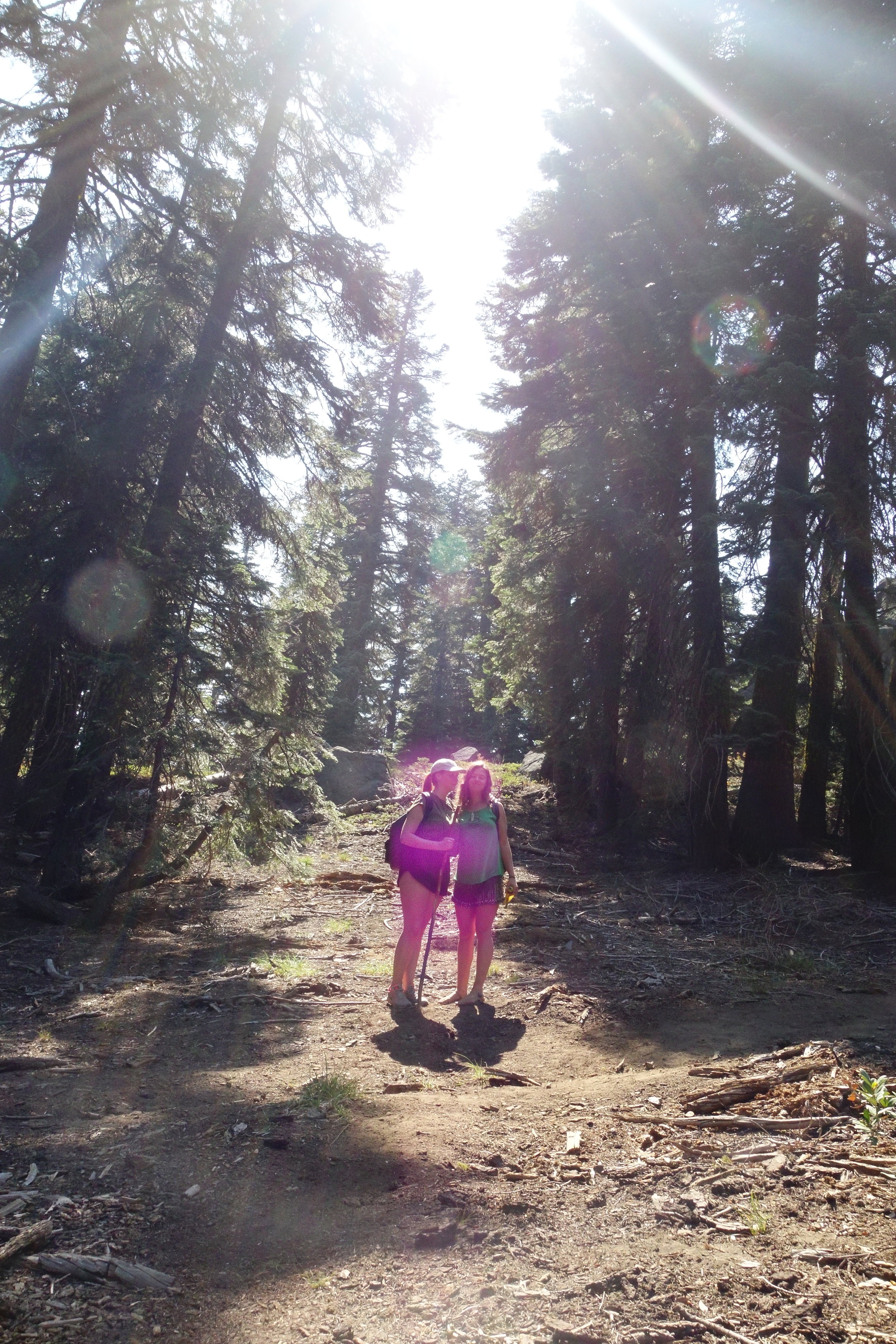 Light Language from Belgium to Mt Shasta via the Pleiadians