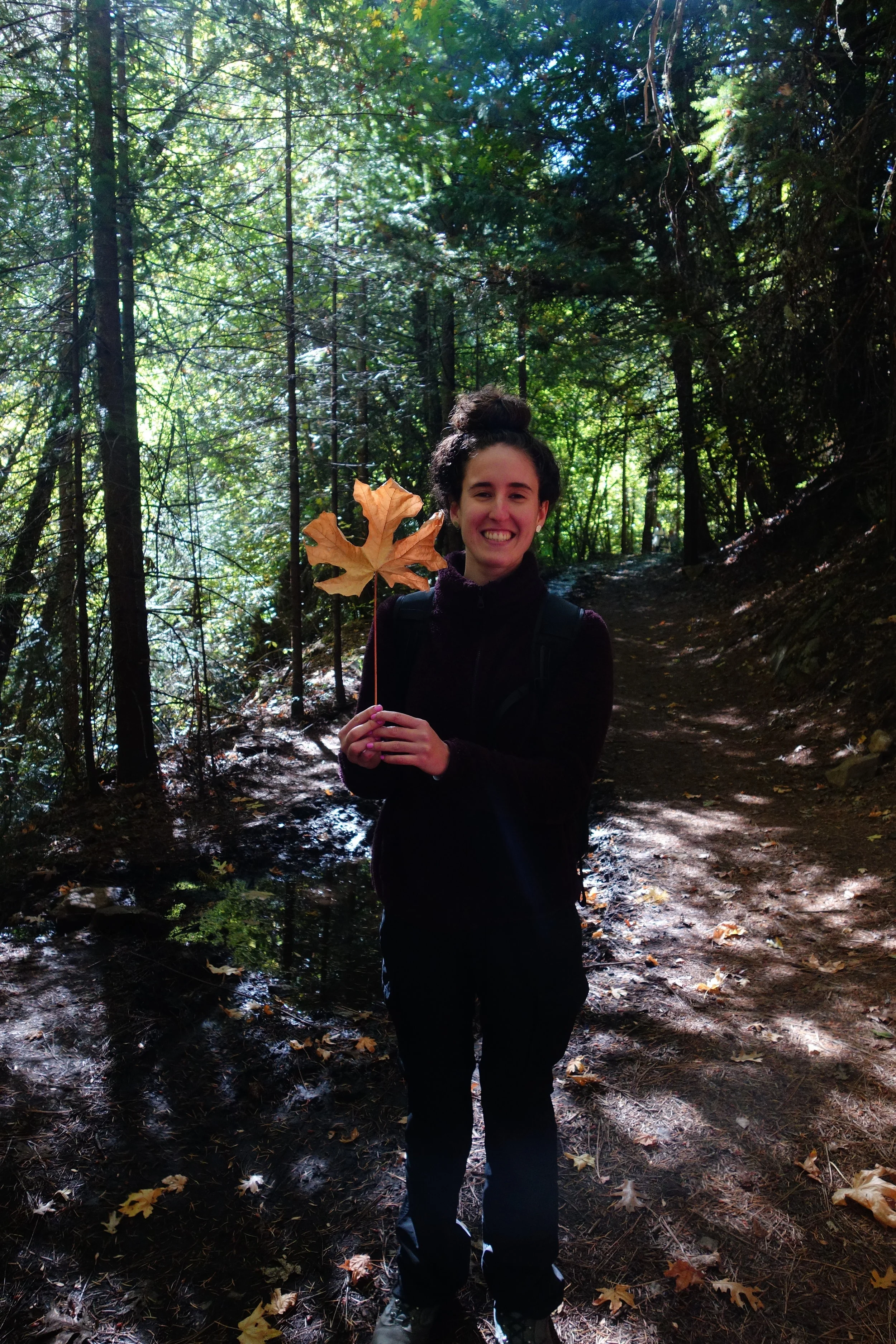 Mt Shasta Spiritual Tours . Mt Shasta Guide