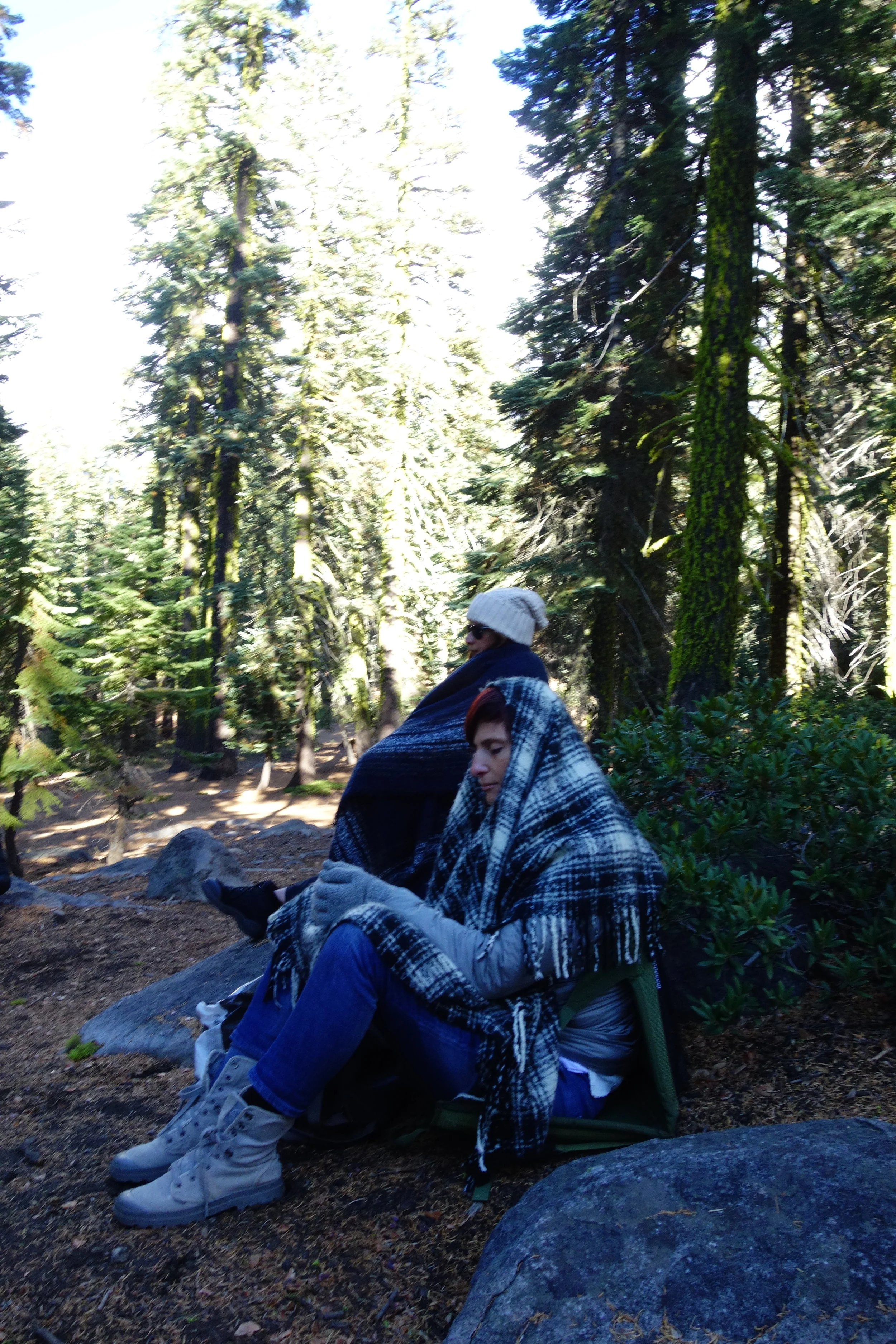 Mt Shasta Spiritual Tours . Mt Shasta Guide