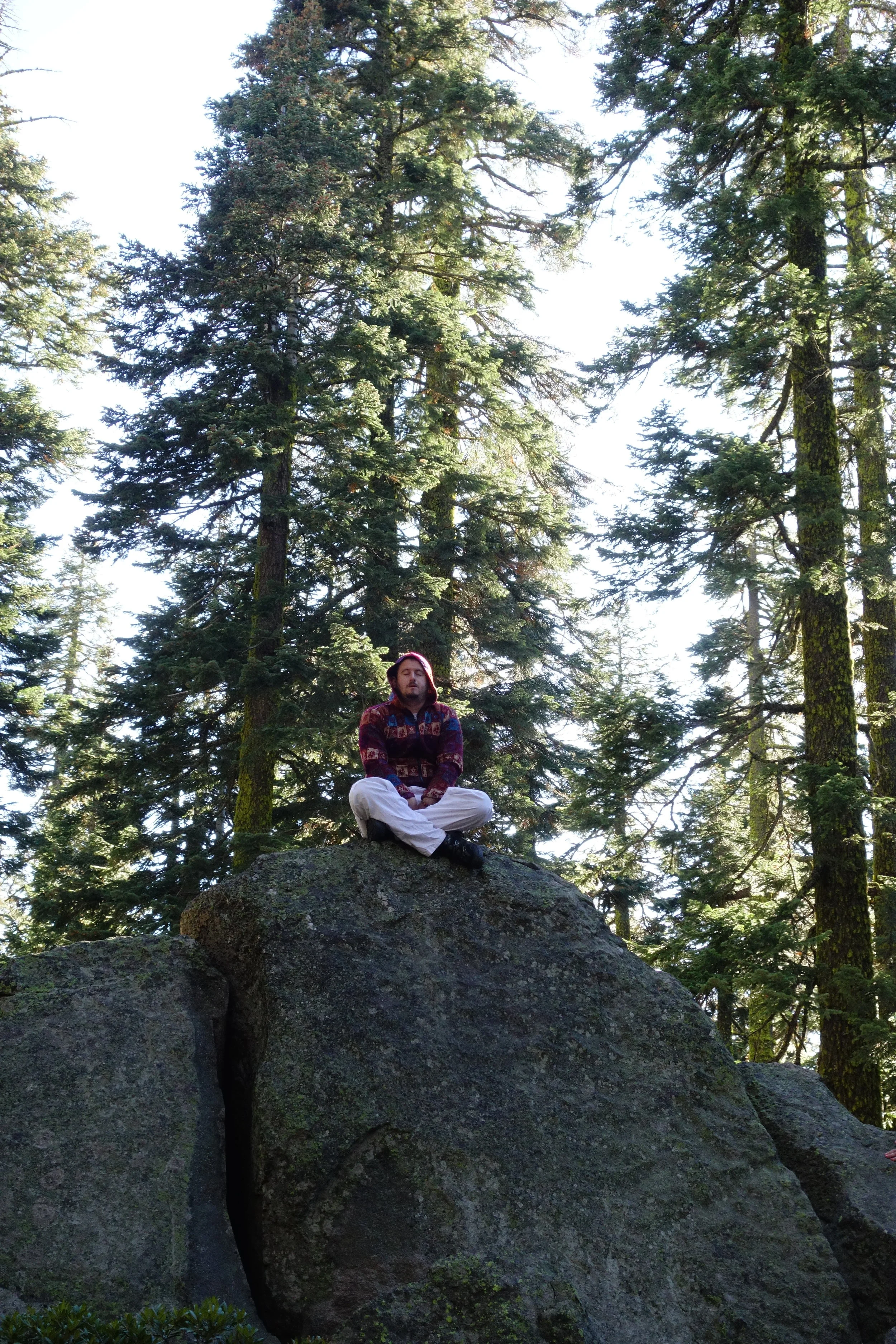 Mt Shasta Spiritual Tours . Mt Shasta Guide